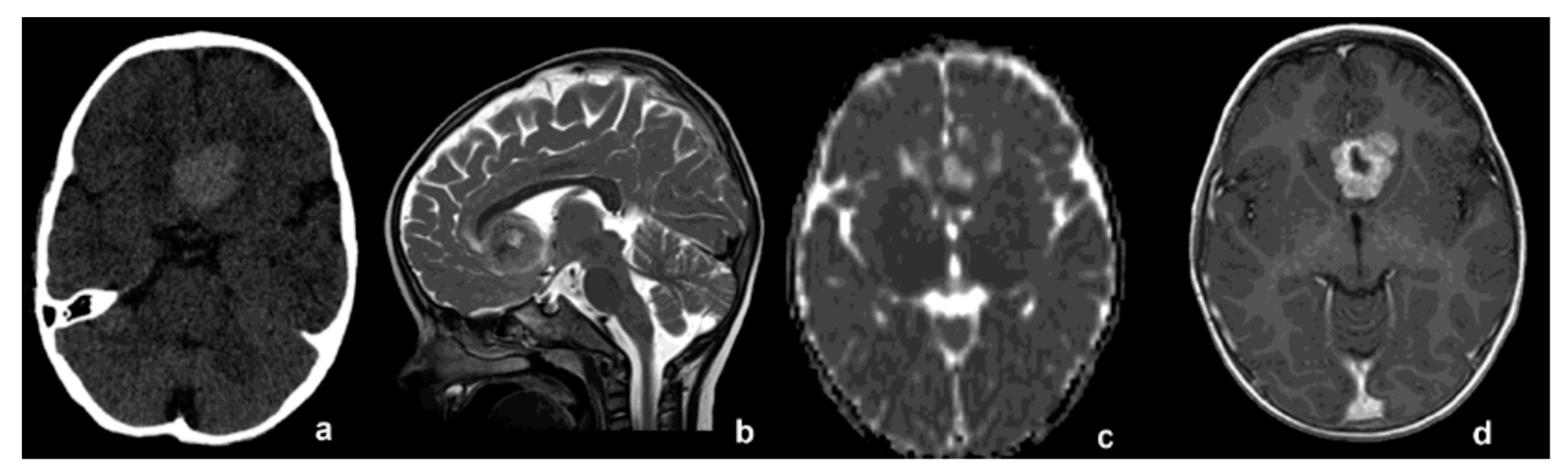 Diagnostics 12 02367 g001