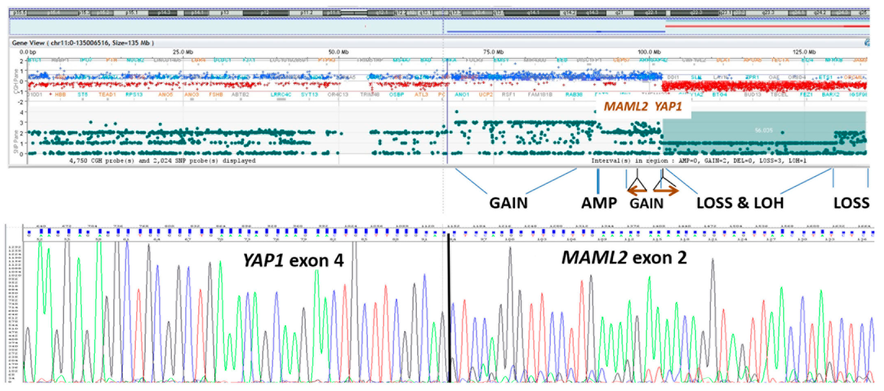 Diagnostics 12 02367 g004