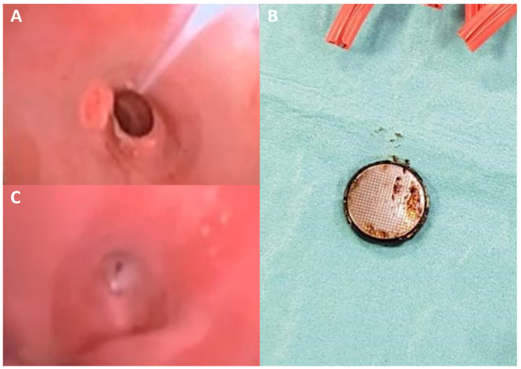 Diagnostics 12 02369 g001