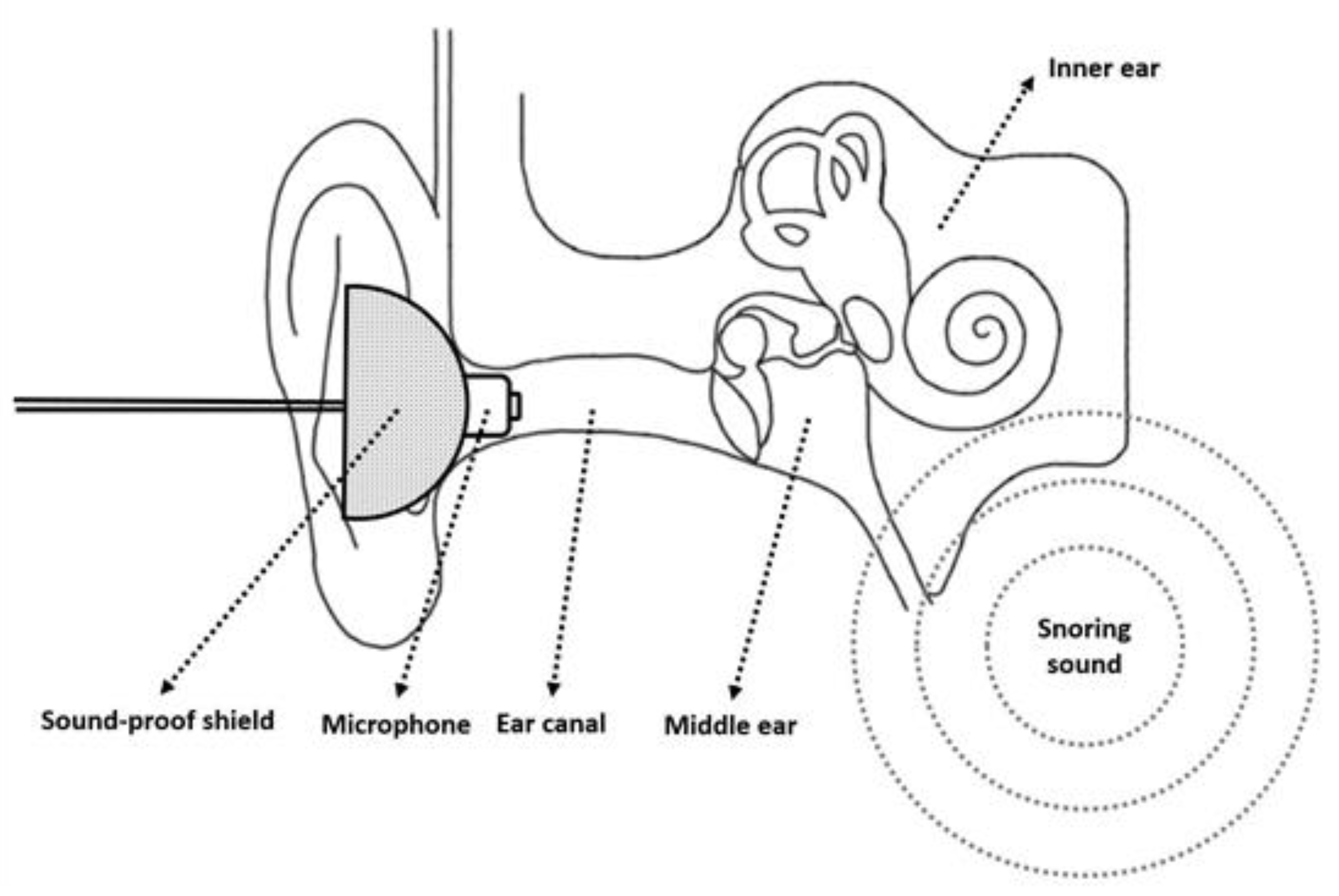 Diagnostics 12 02374 g002 Diagnostics 12 02374 g002