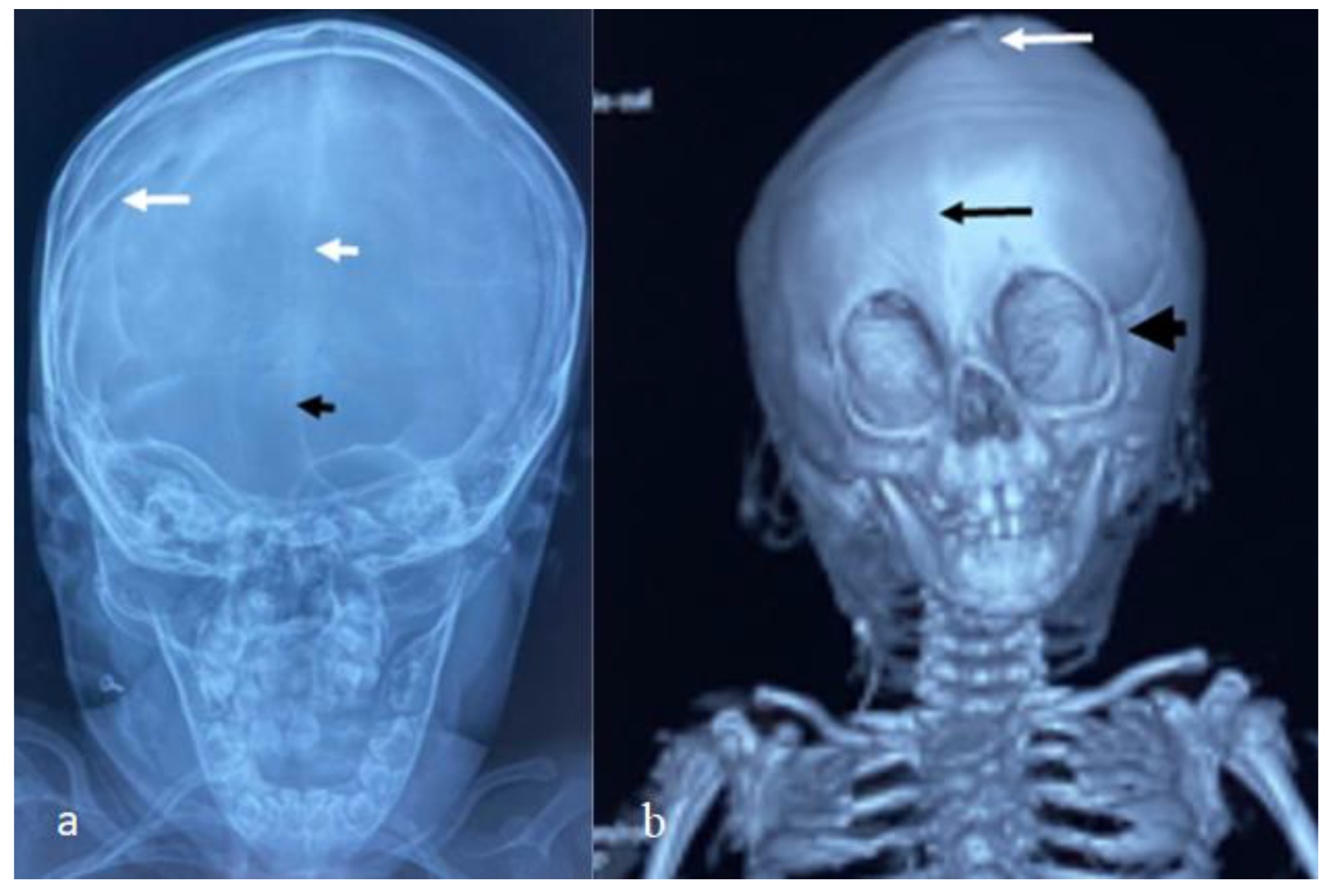 Diagnostics 12 02375 g002