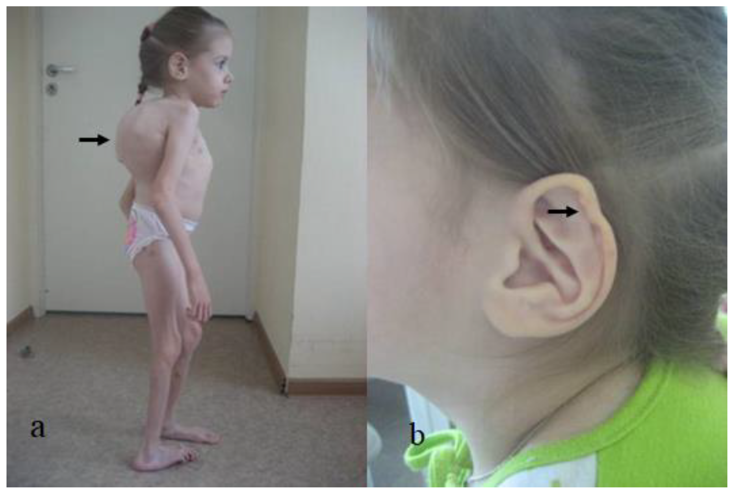 Diagnostics 12 02375 g006