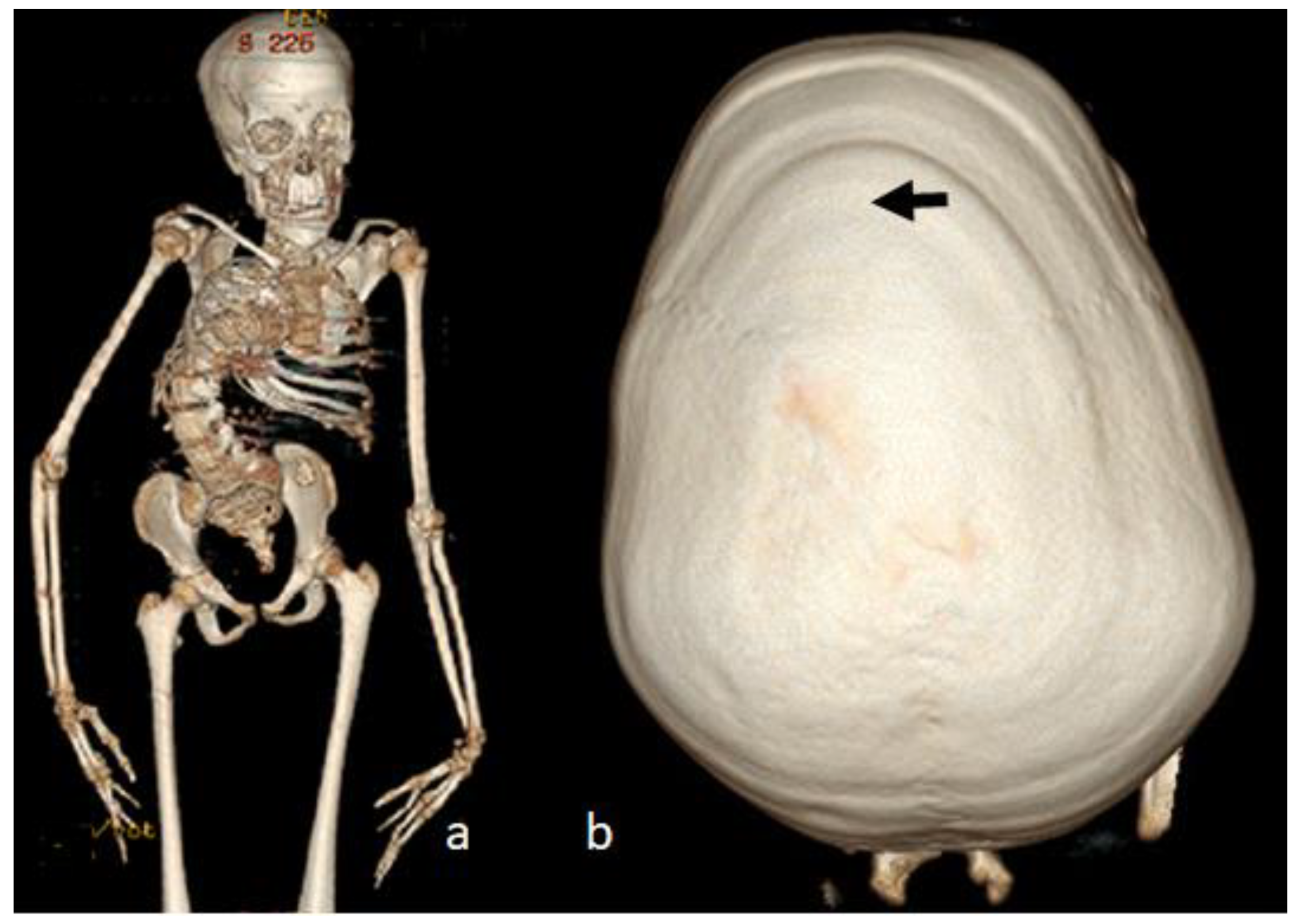 Diagnostics 12 02375 g008