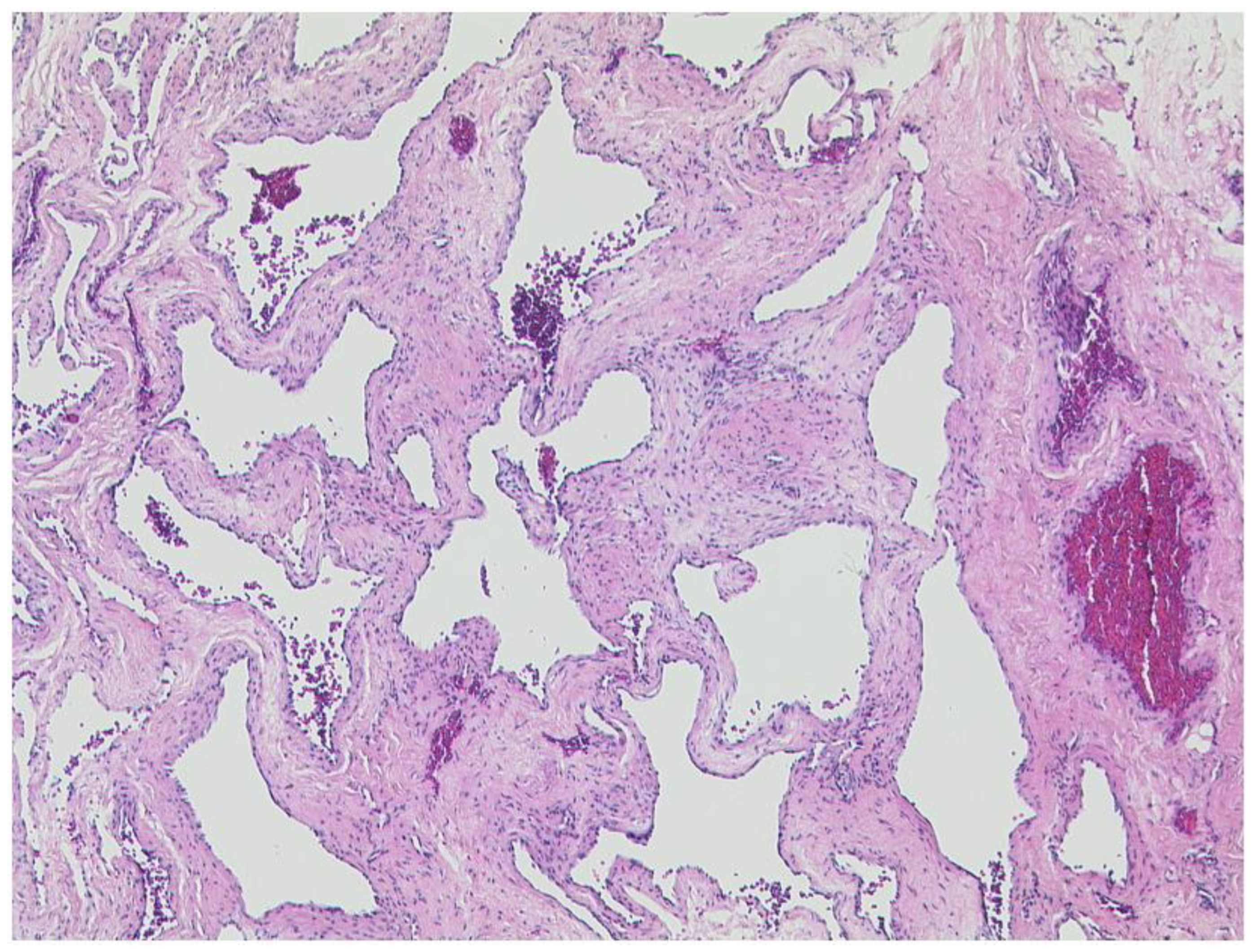 Diagnostics 12 02376 g006 Diagnostics 12 02376 g006