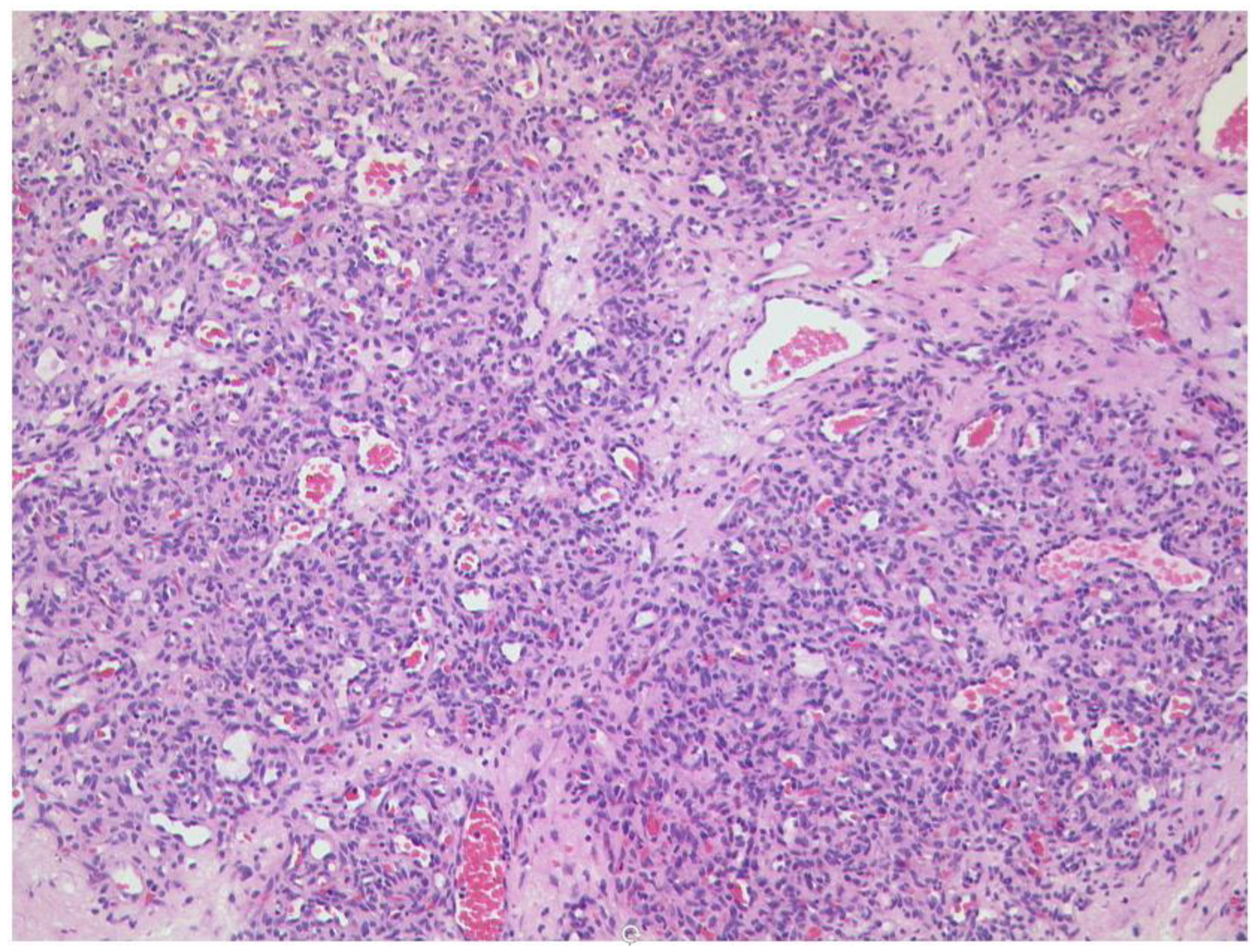 Diagnostics 12 02376 g008 Diagnostics 12 02376 g008