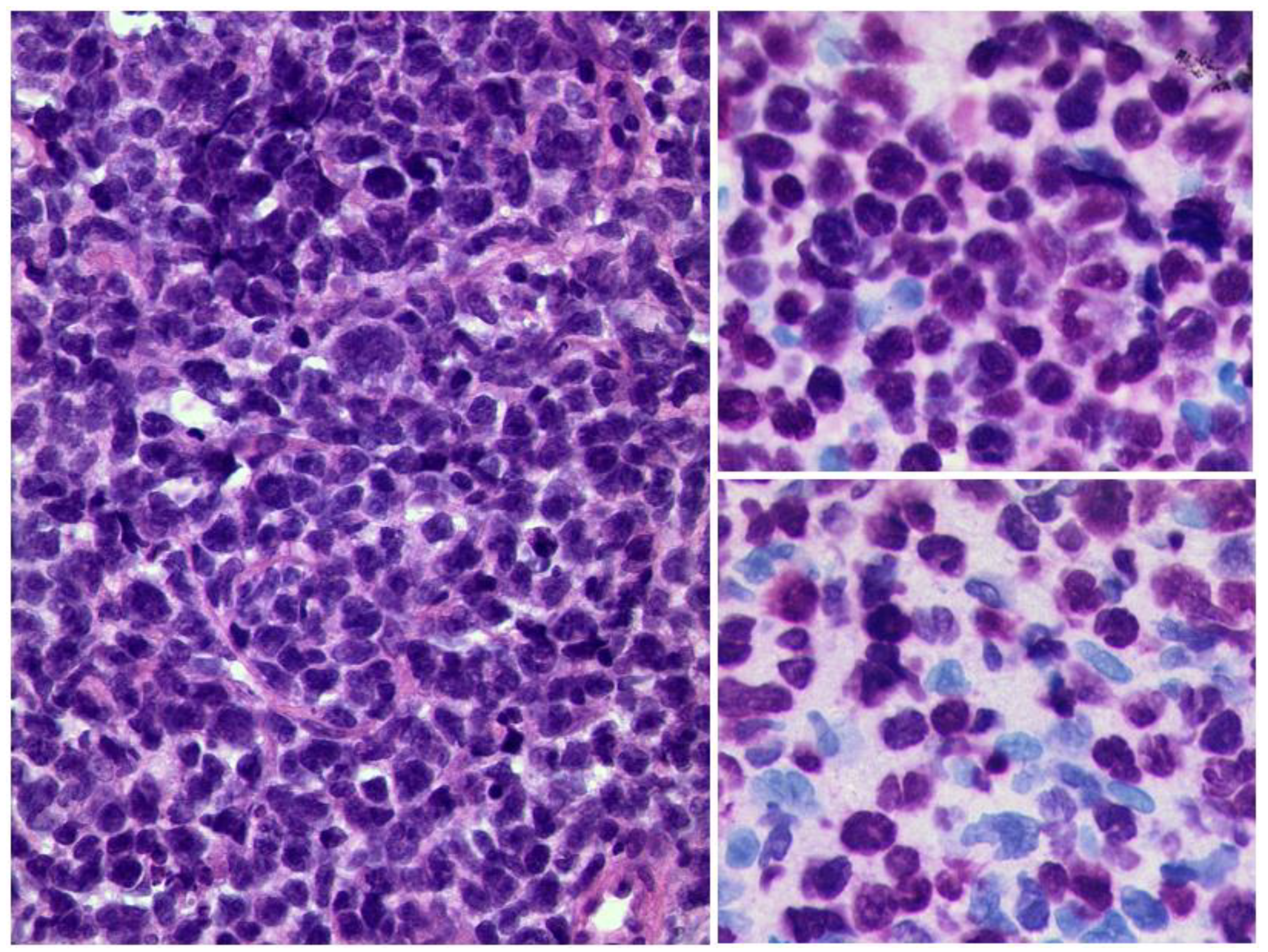 Diagnostics 12 02376 g009 Diagnostics 12 02376 g009