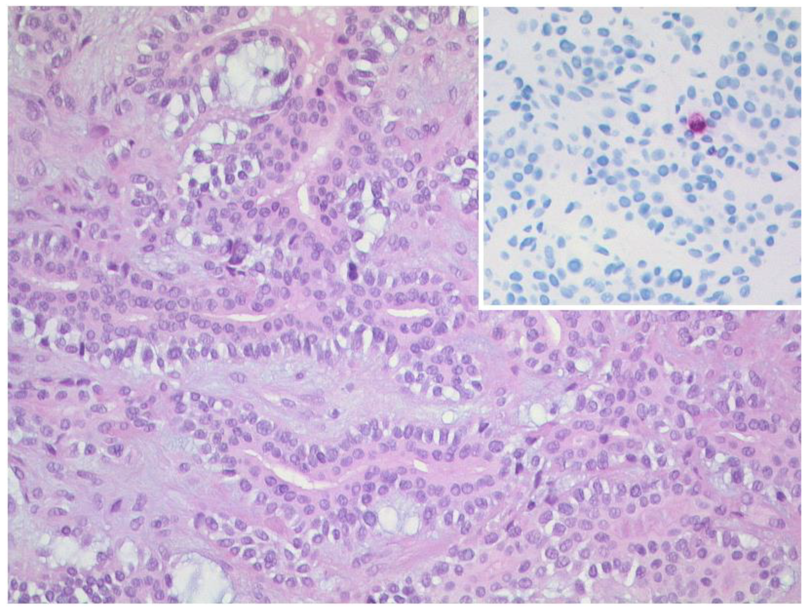 Diagnostics 12 02376 g014 Diagnostics 12 02376 g014