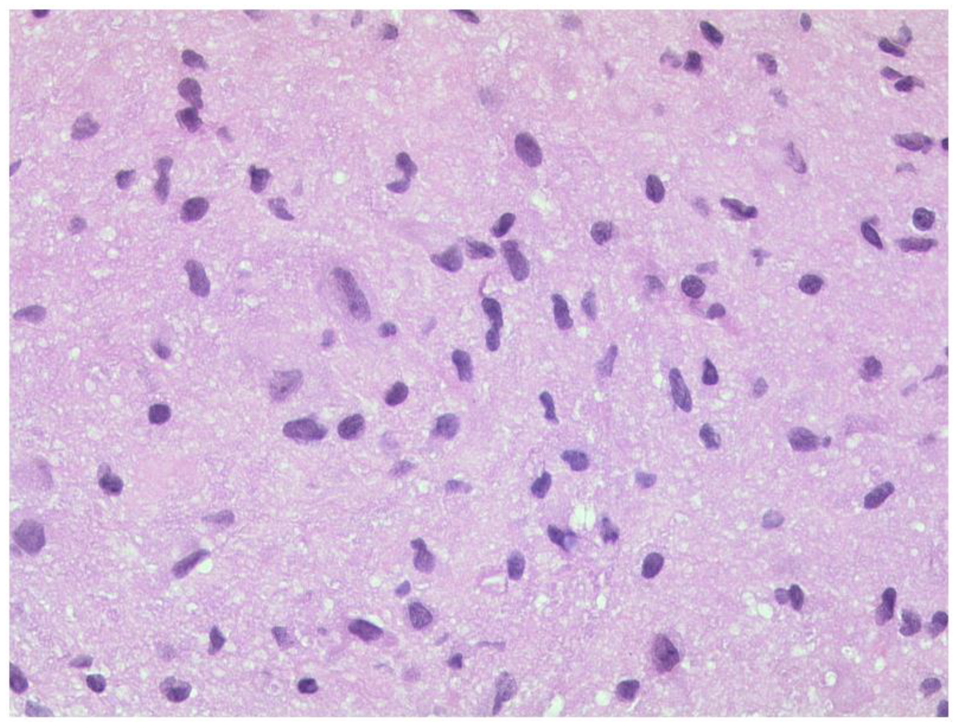 Diagnostics 12 02376 g017 Diagnostics 12 02376 g017