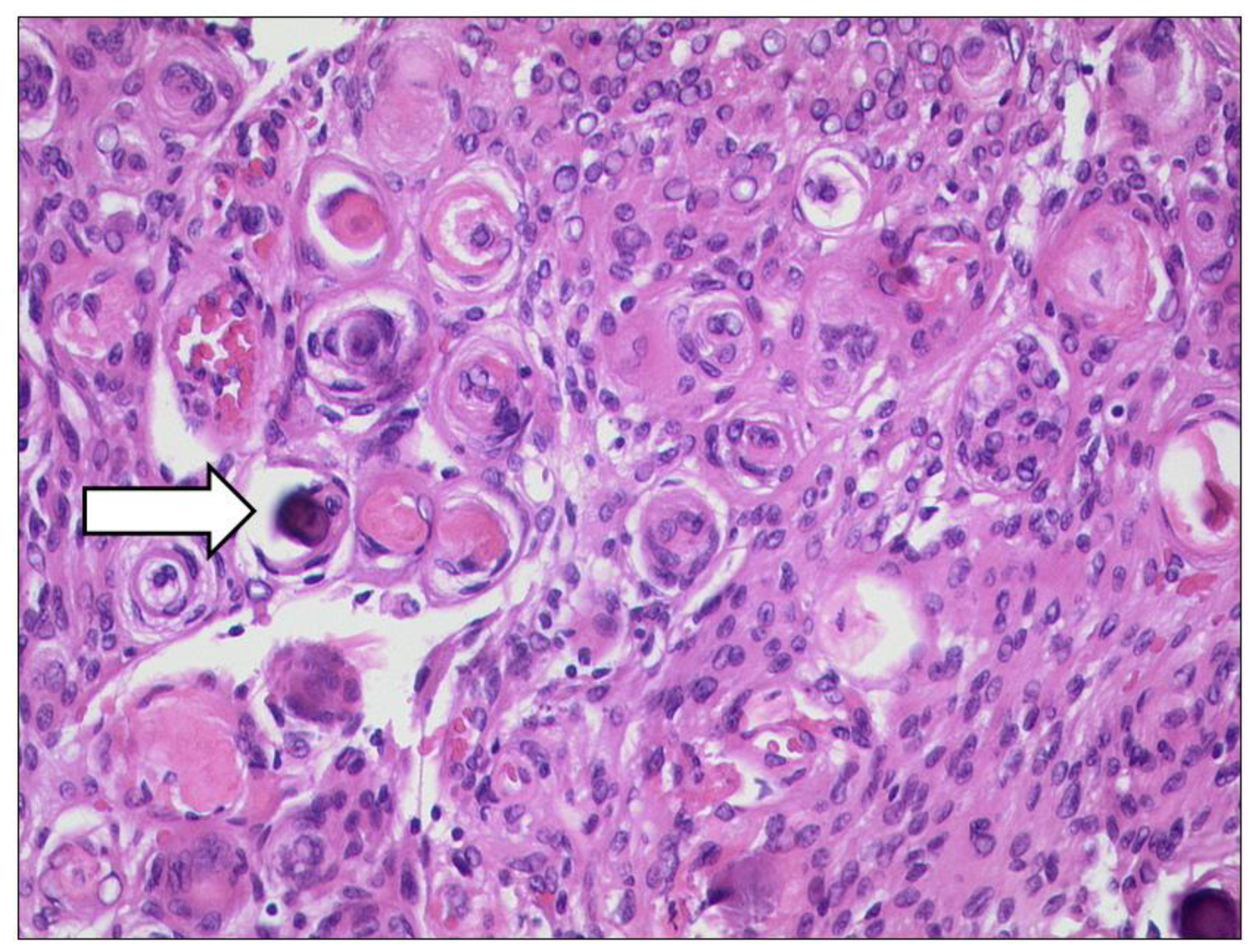 Diagnostics 12 02376 g019 Diagnostics 12 02376 g019