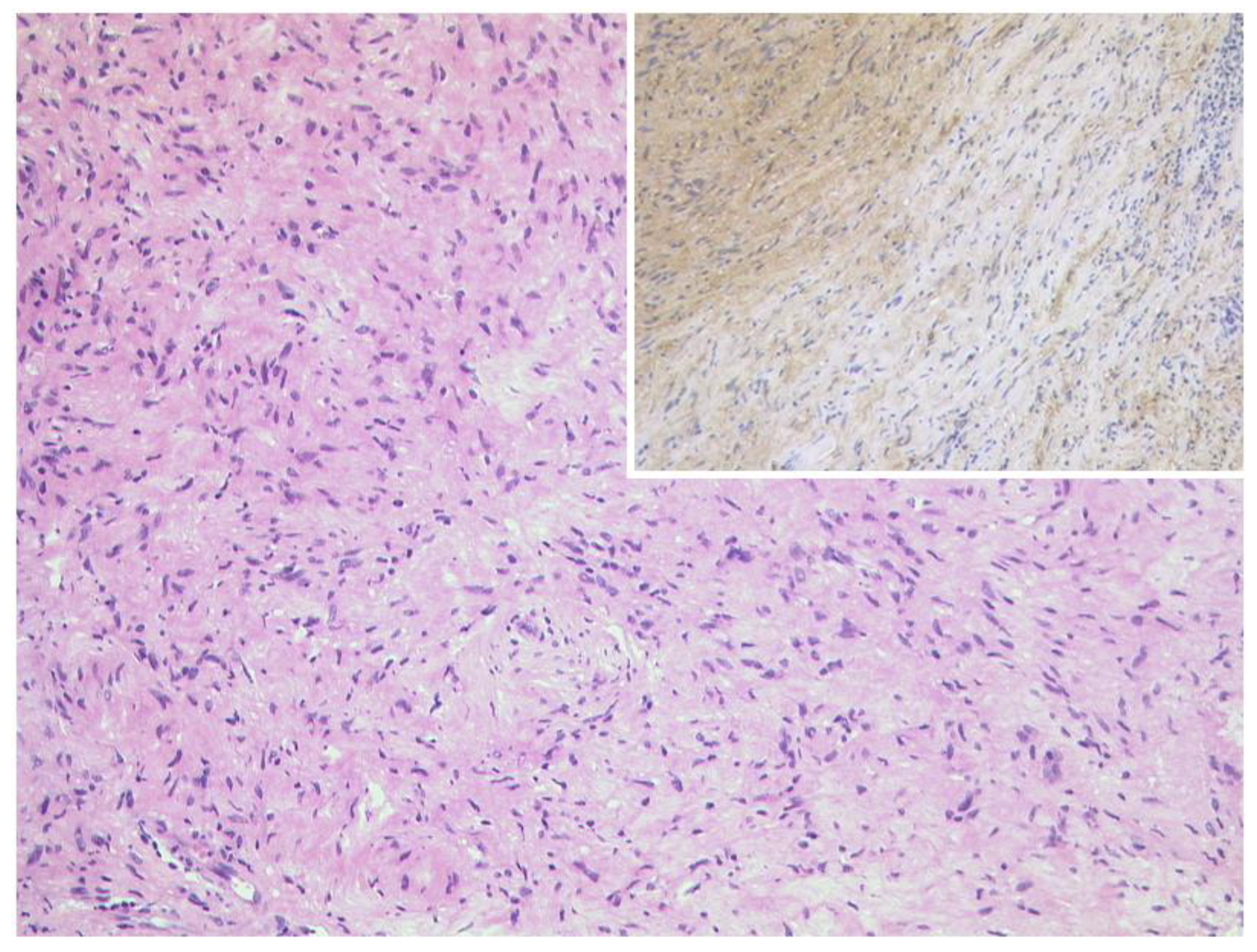 Diagnostics 12 02376 g023 Diagnostics 12 02376 g023