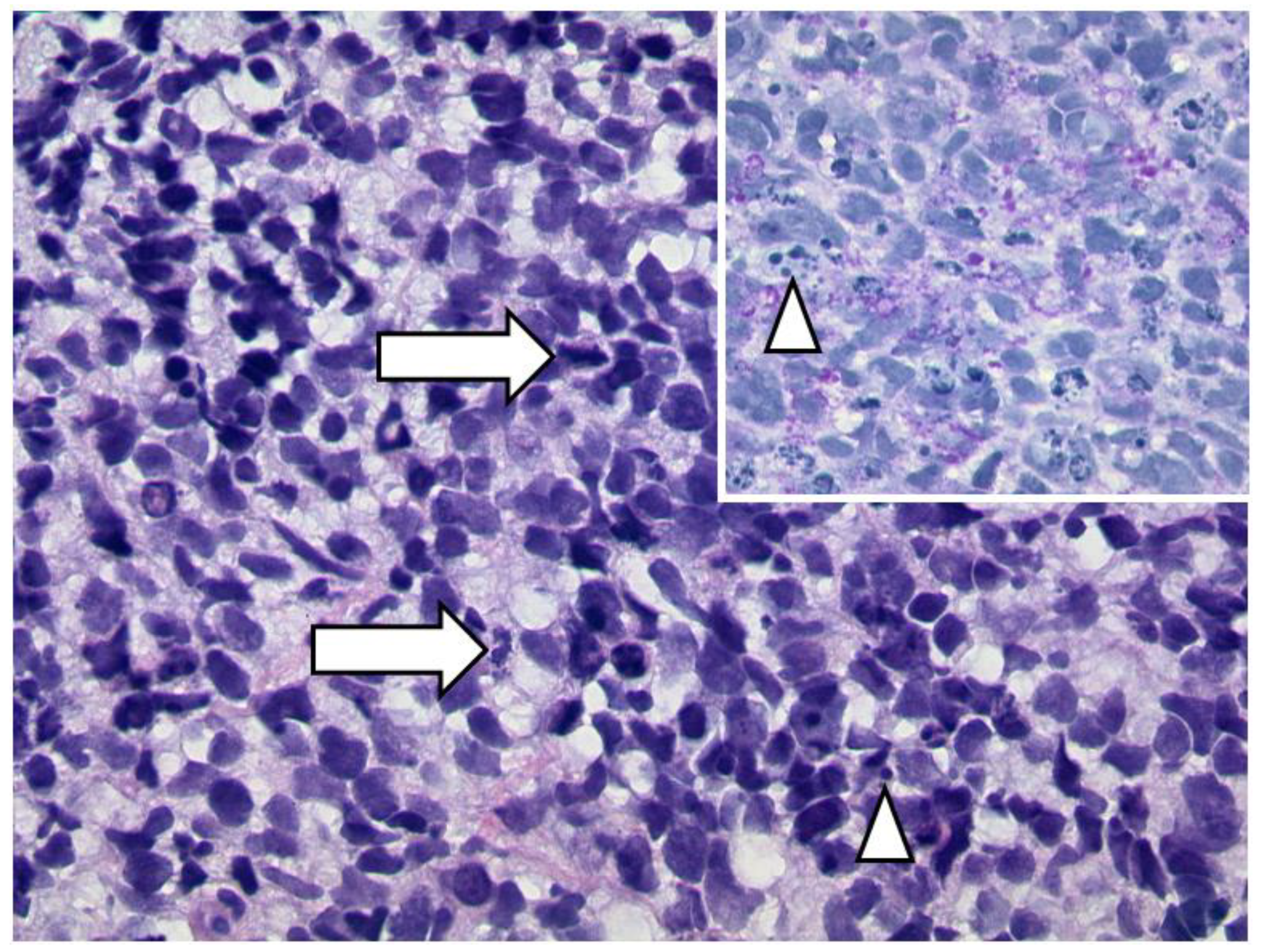 Diagnostics 12 02376 g026 Diagnostics 12 02376 g026