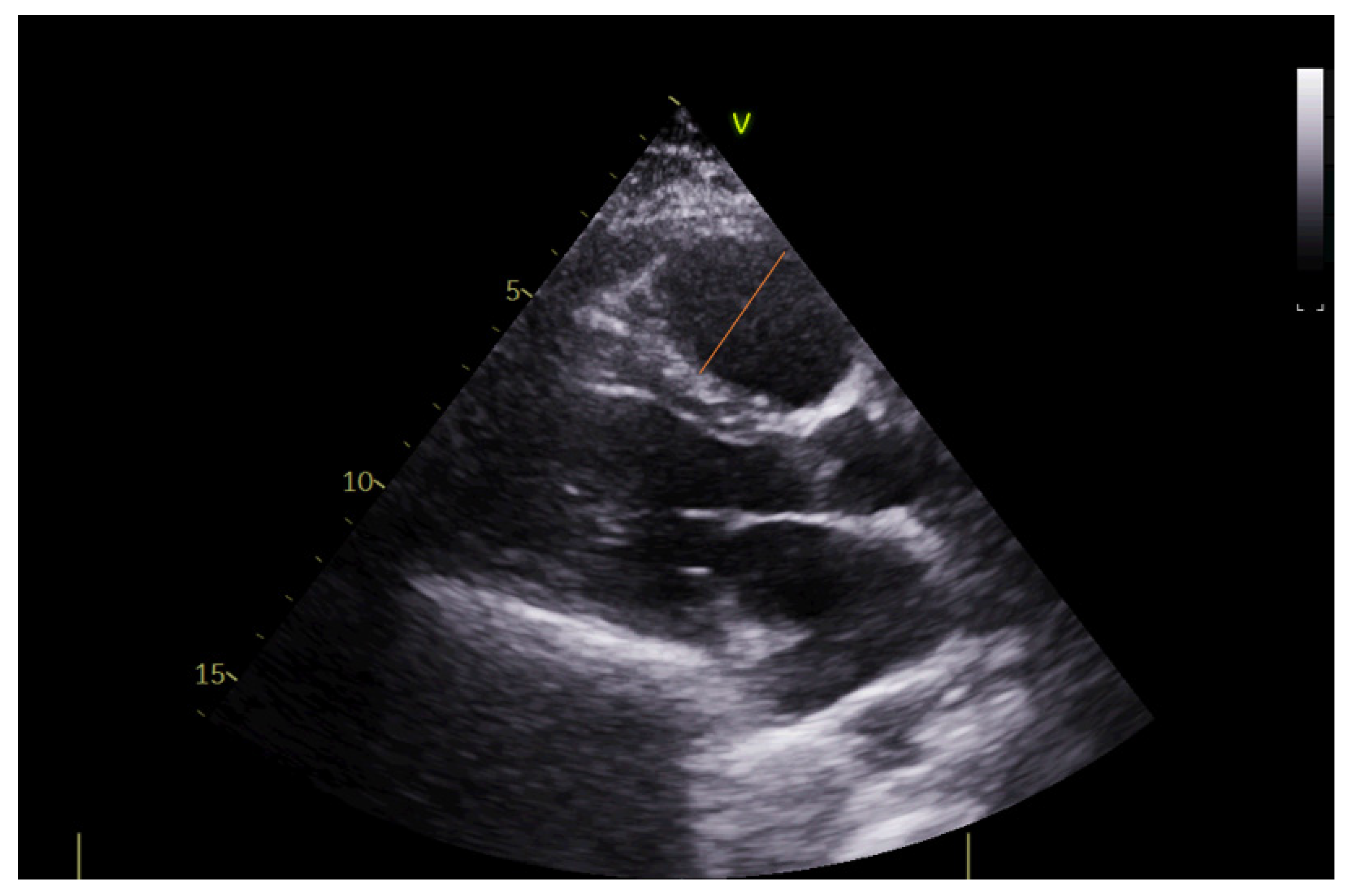 Diagnostics 12 02380 g002