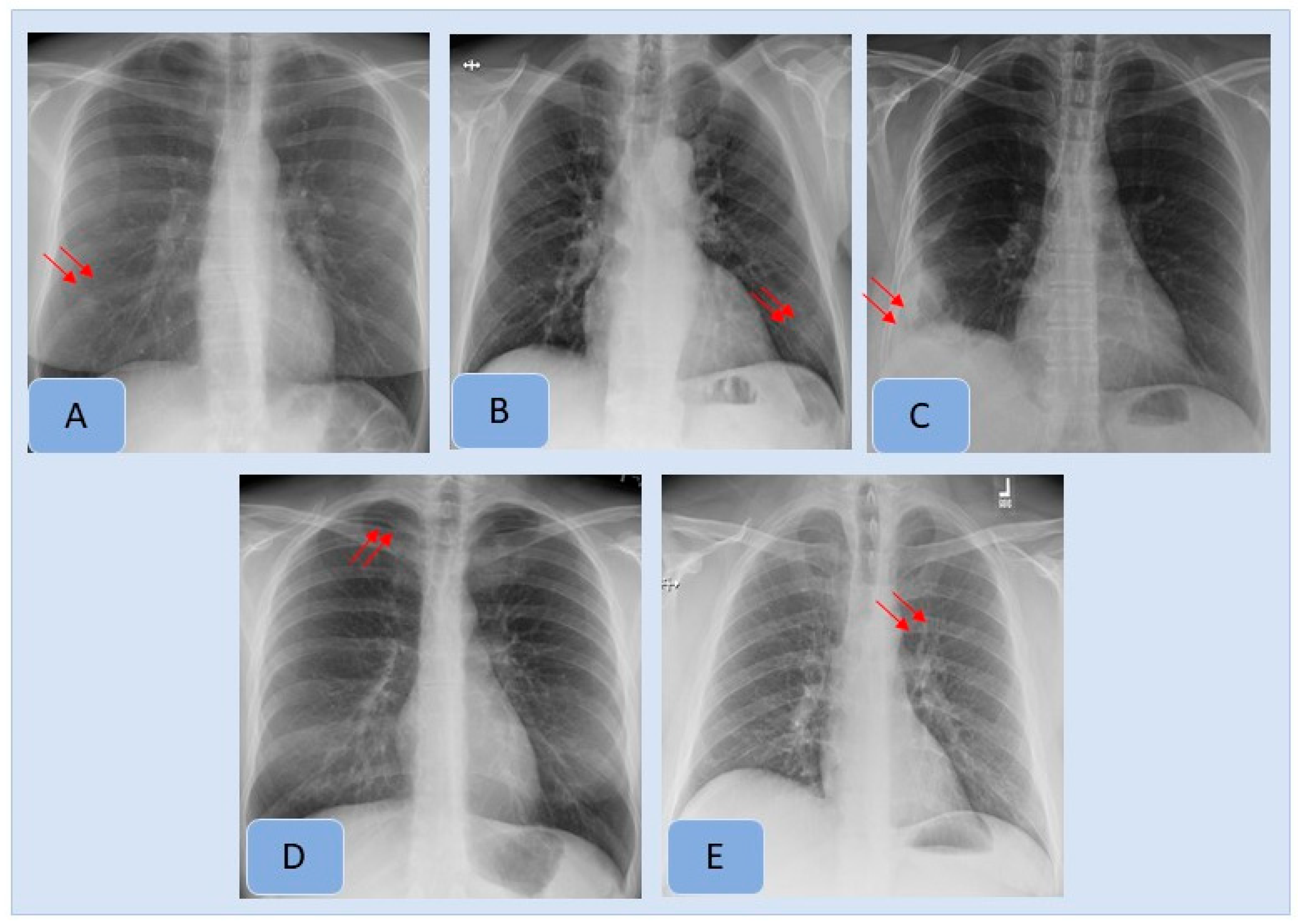 Diagnostics 12 02382 g003