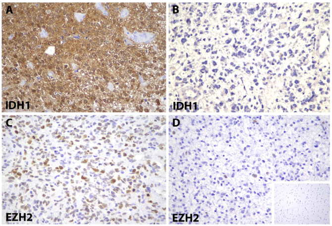 Diagnostics 12 02383 g001