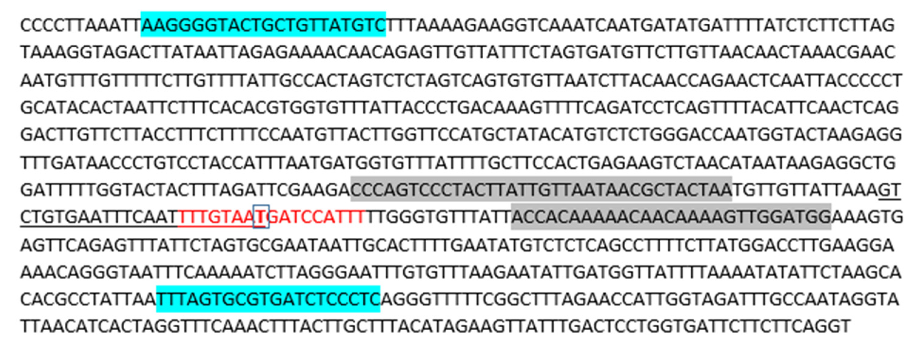 Diagnostics 12 02388 g001