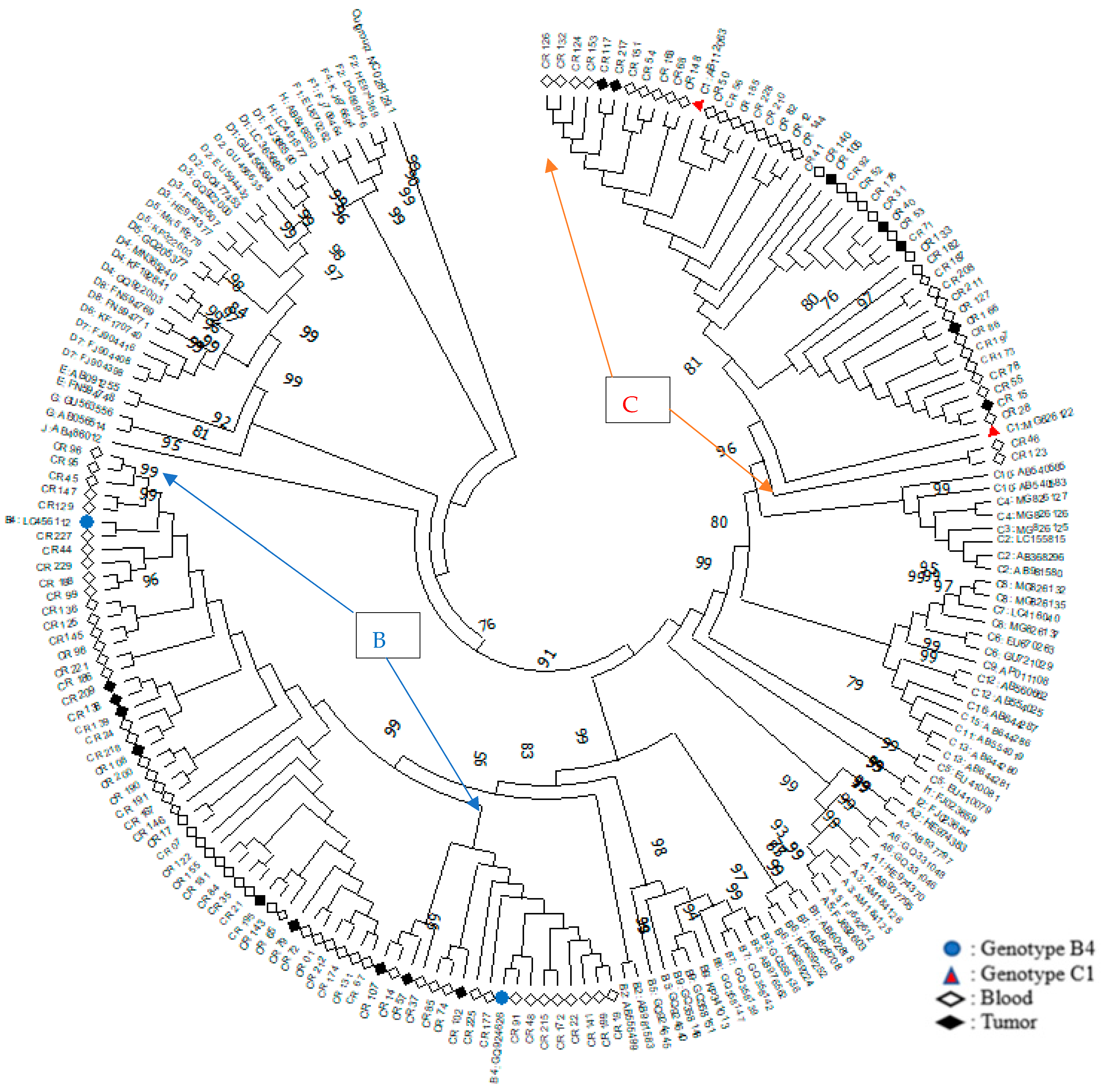 Diagnostics 12 02393 g001