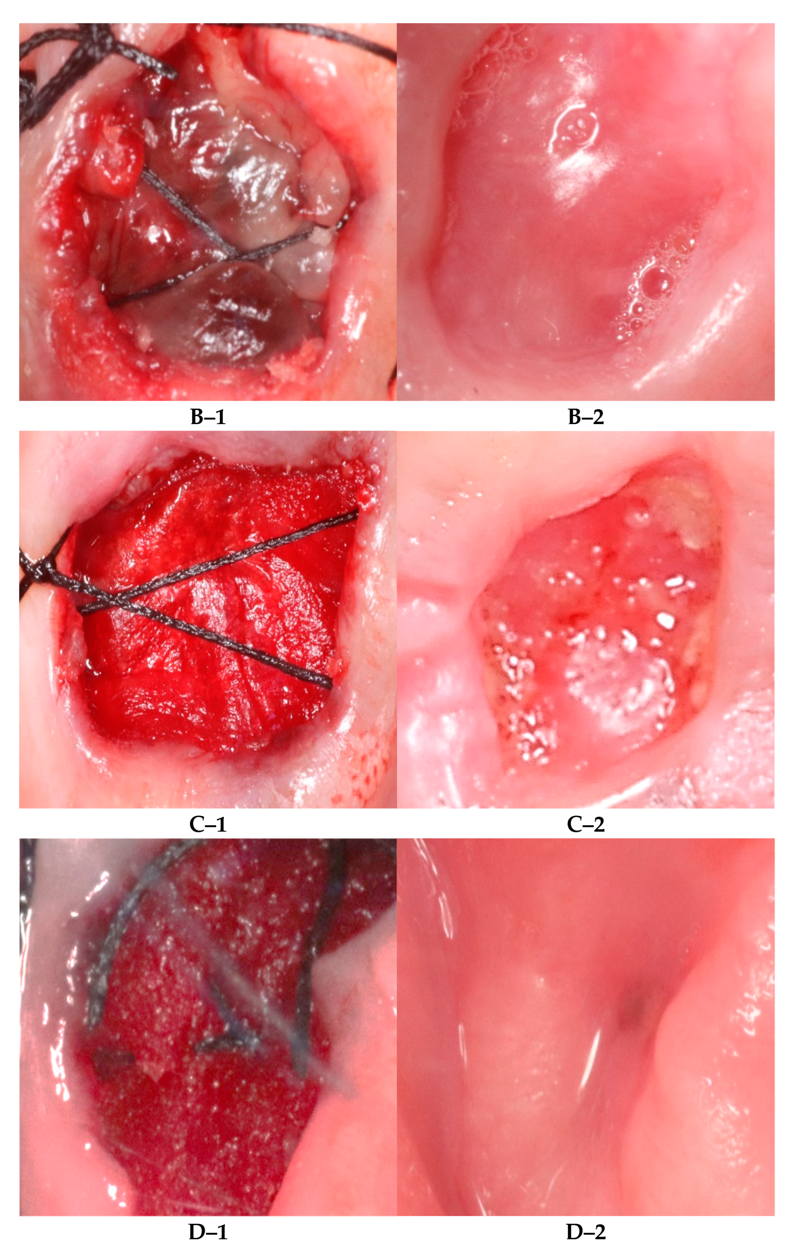 Diagnostics 12 02403 g001b Diagnostics 12 02403 g001b