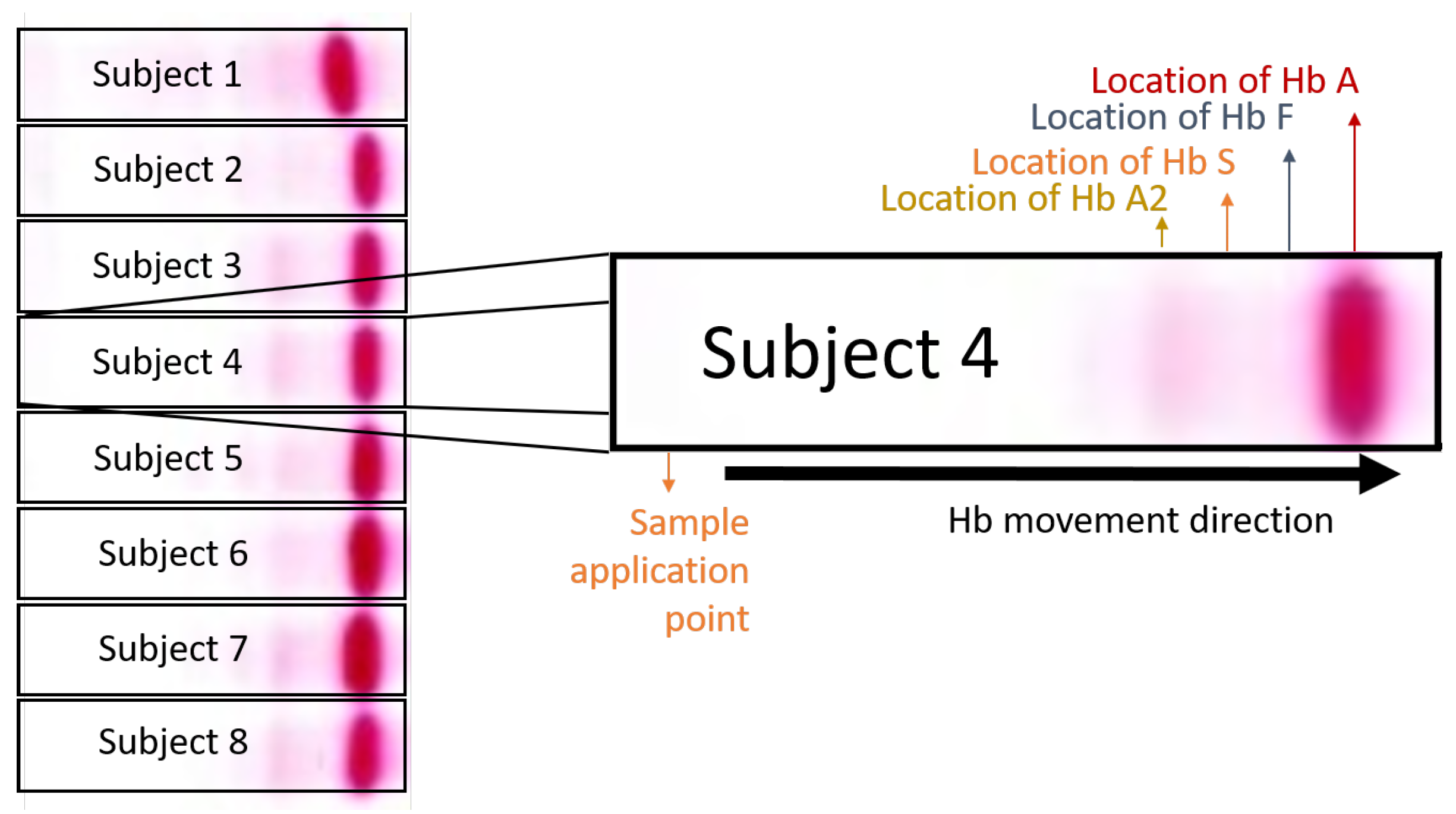 Diagnostics 12 02405 g005