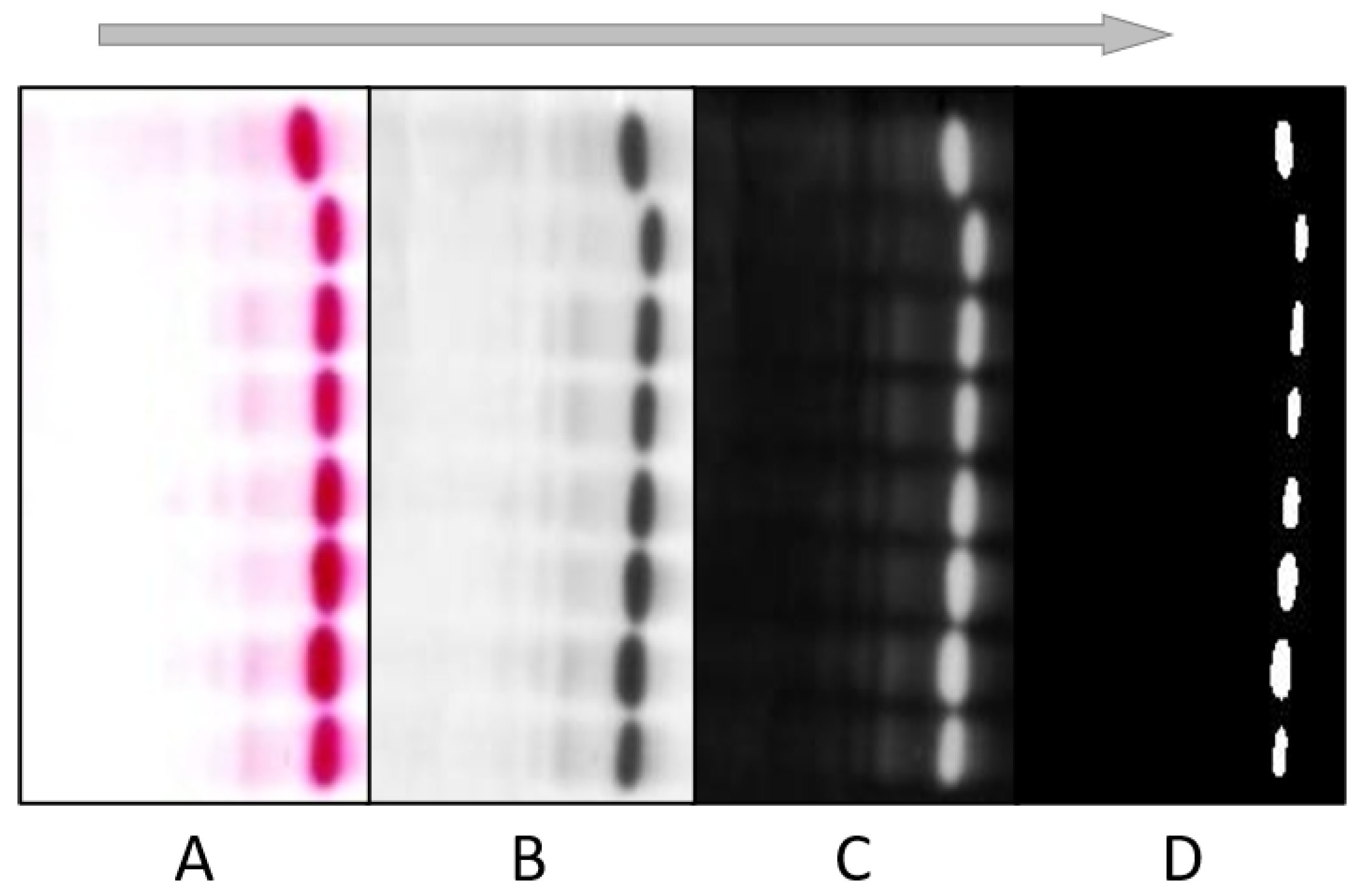 Diagnostics 12 02405 g006