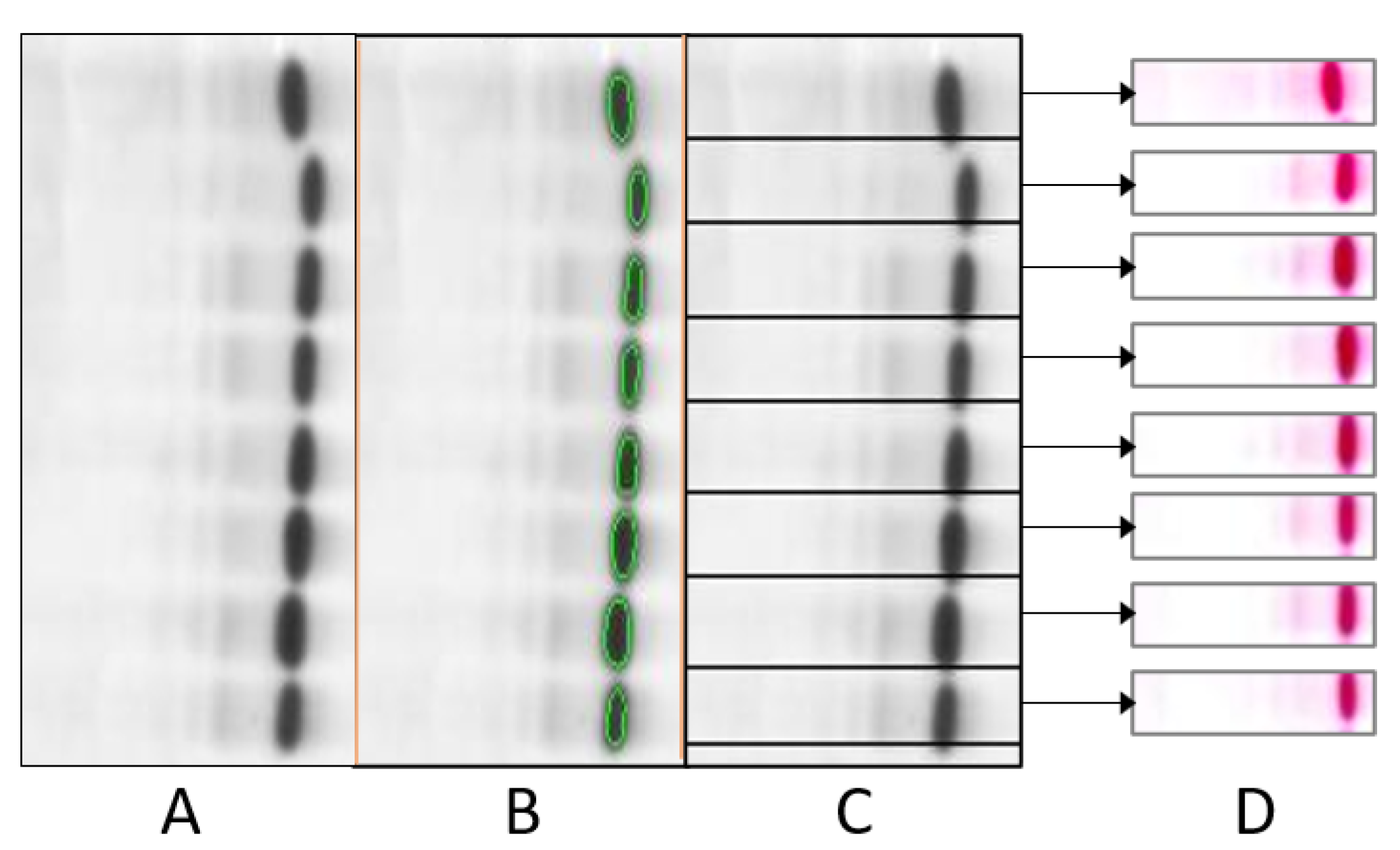Diagnostics 12 02405 g007