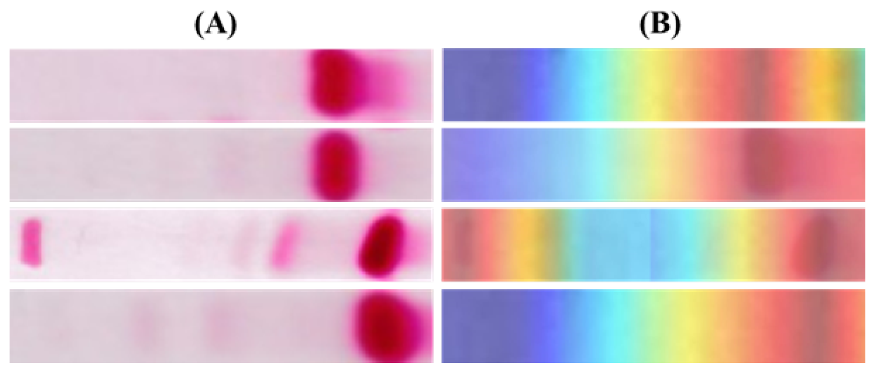 Diagnostics 12 02405 g012