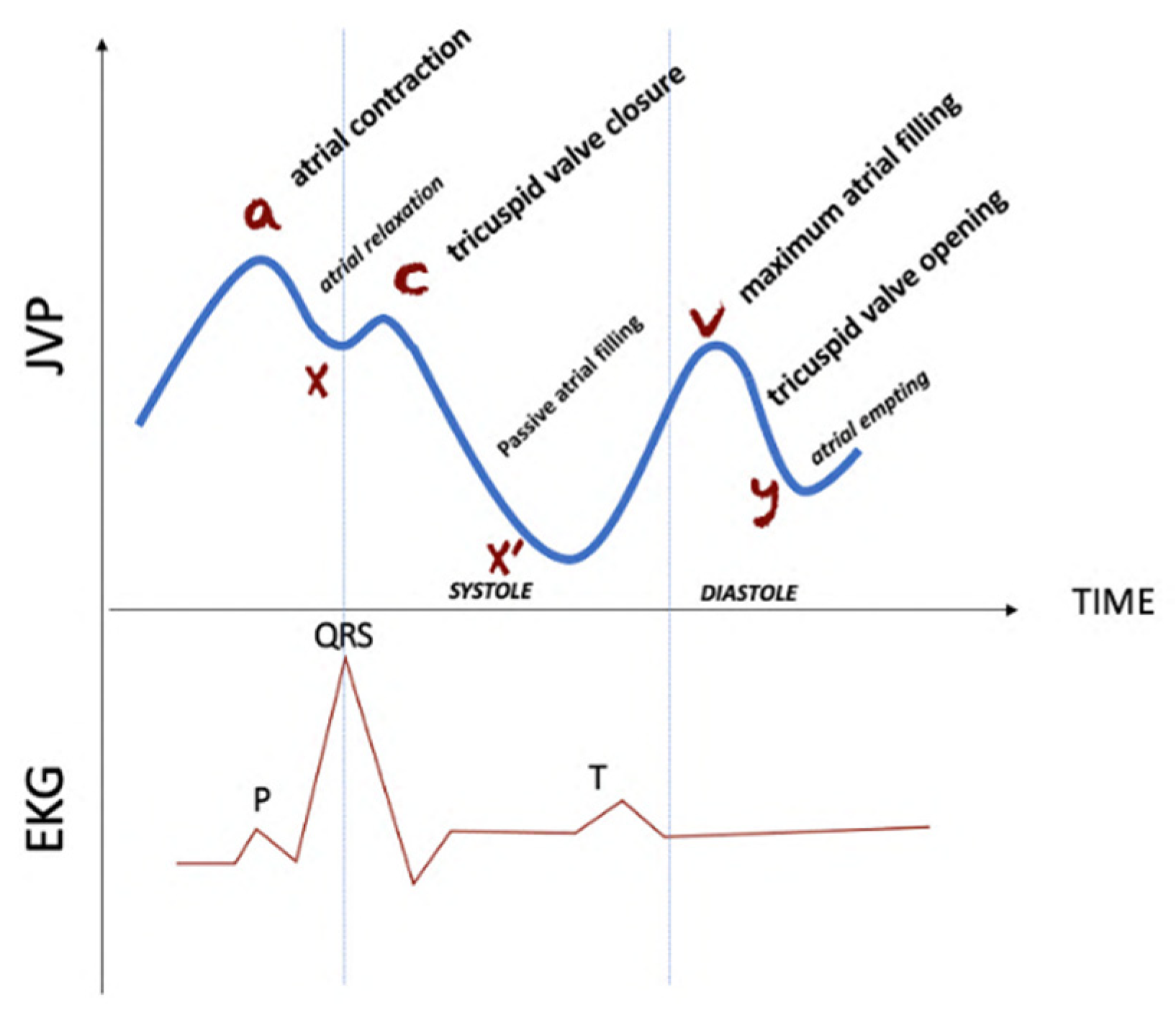 Diagnostics | Free Full-Text | The Effect of Submaximal Exercise on ...