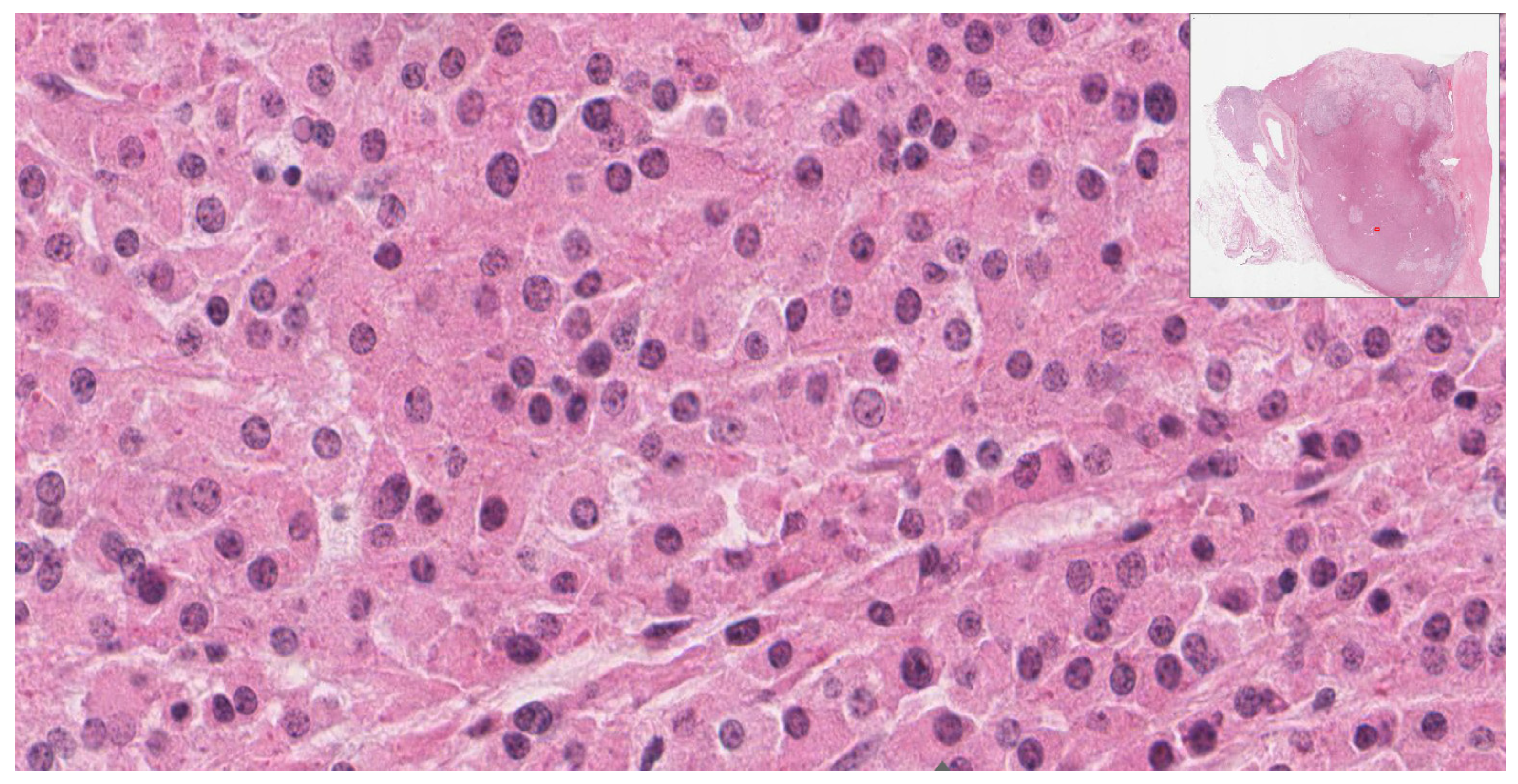 Diagnostics 12 02419 g003 Diagnostics 12 02419 g003