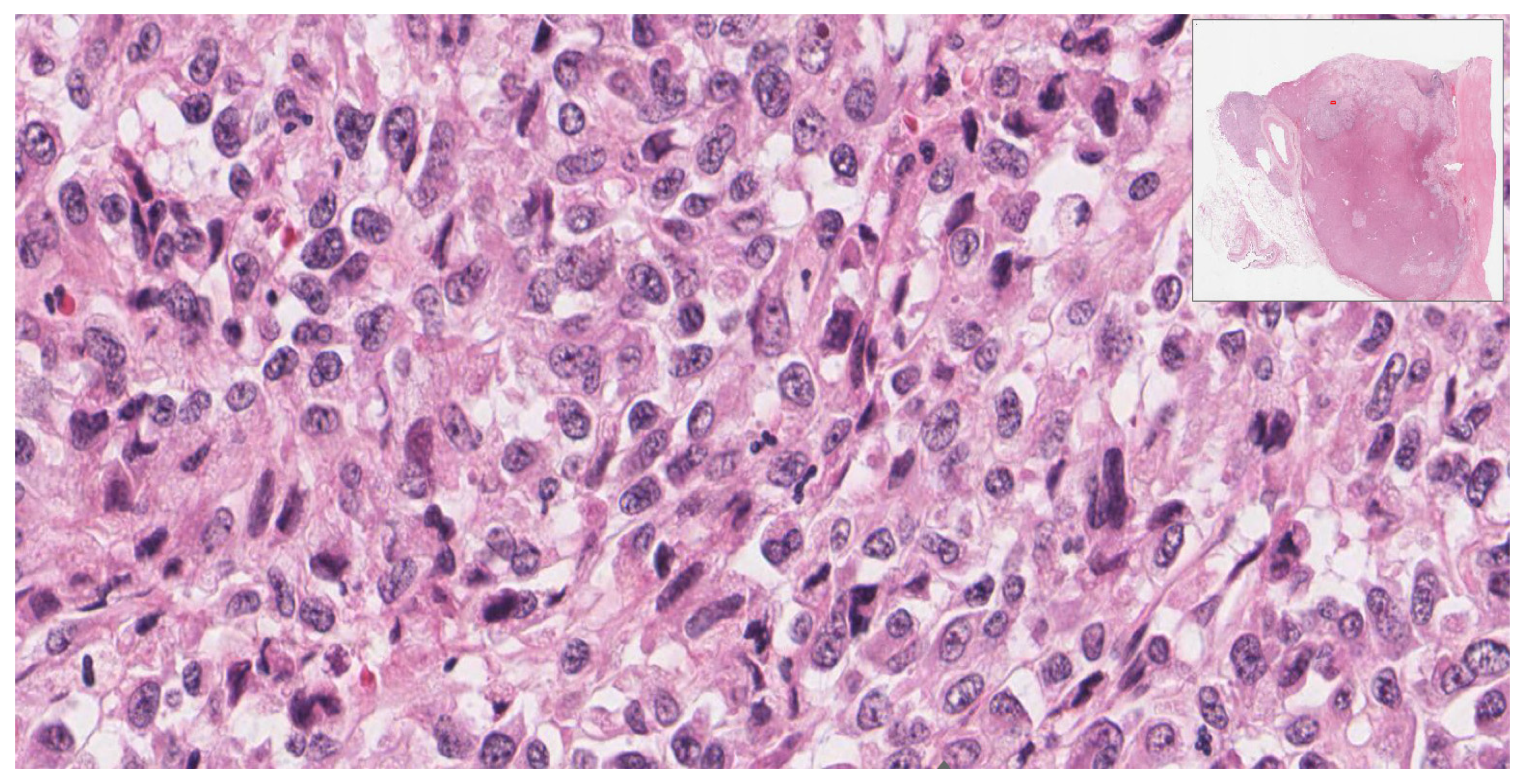 Diagnostics 12 02419 g004 Diagnostics 12 02419 g004