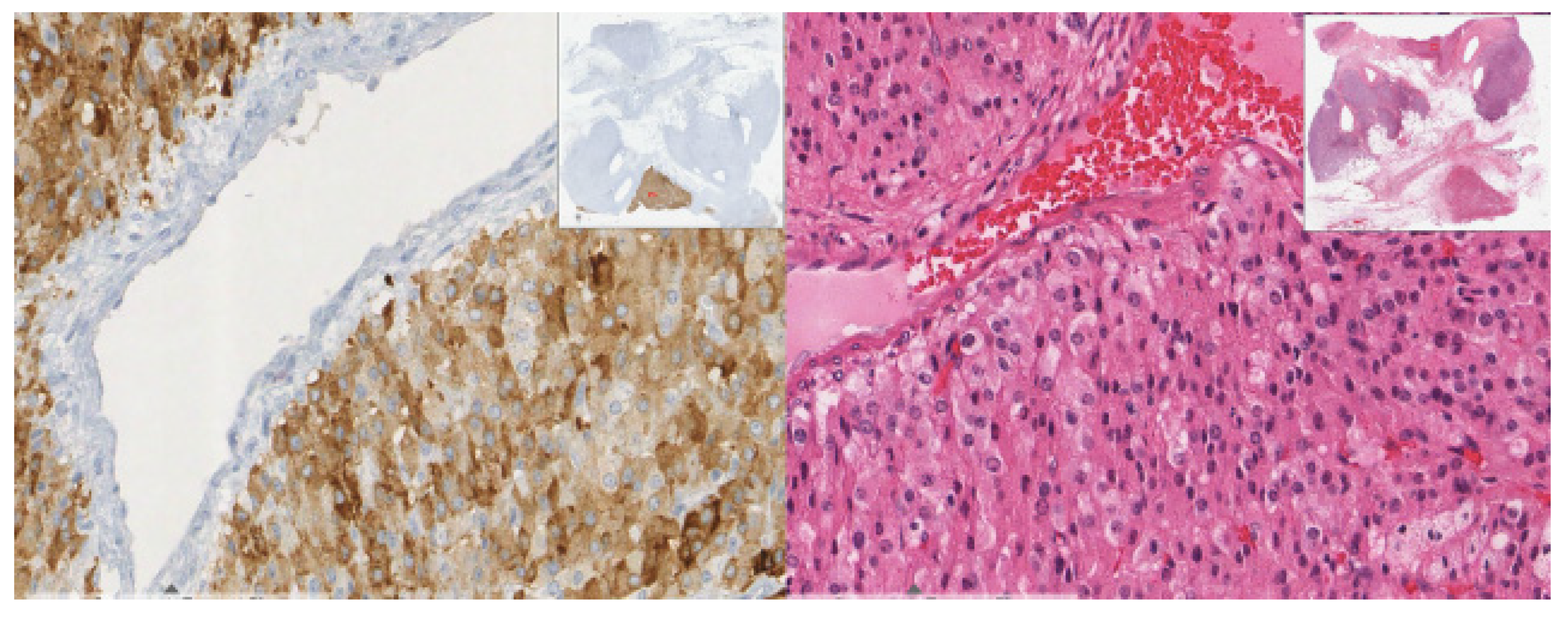 Diagnostics 12 02419 g005 Diagnostics 12 02419 g005