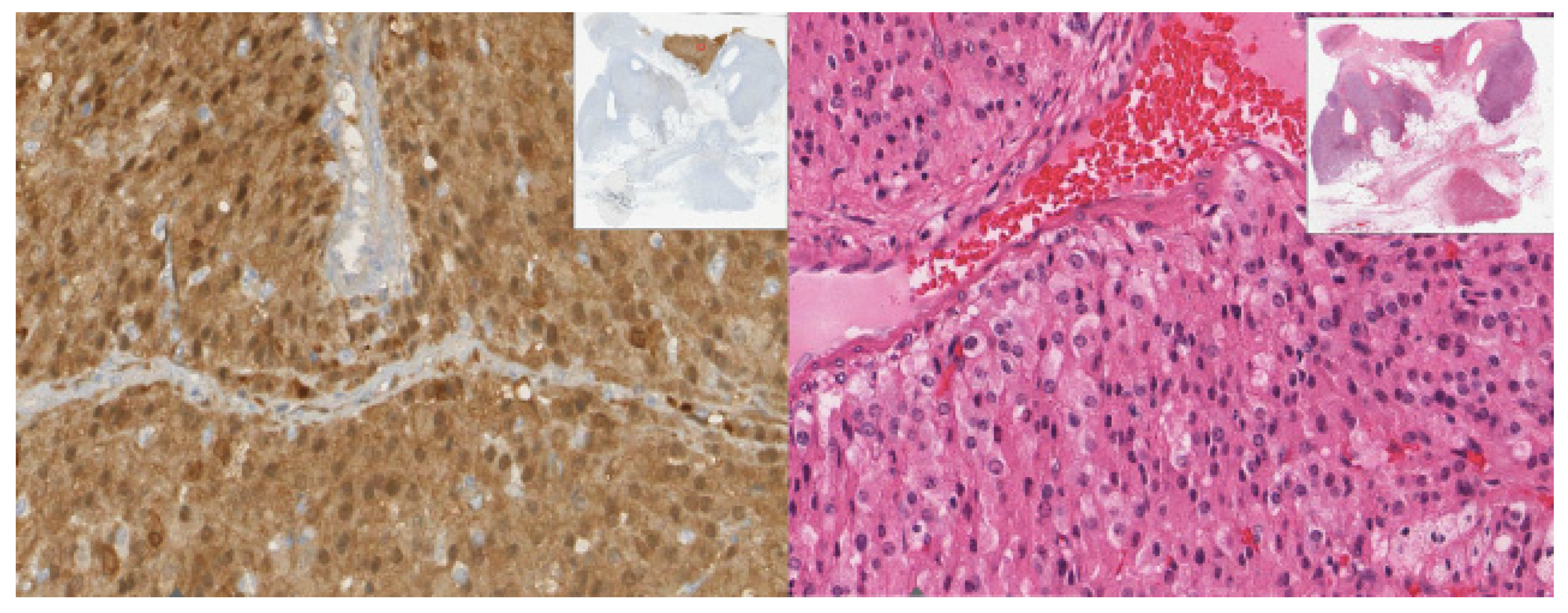 Diagnostics 12 02419 g006 Diagnostics 12 02419 g006