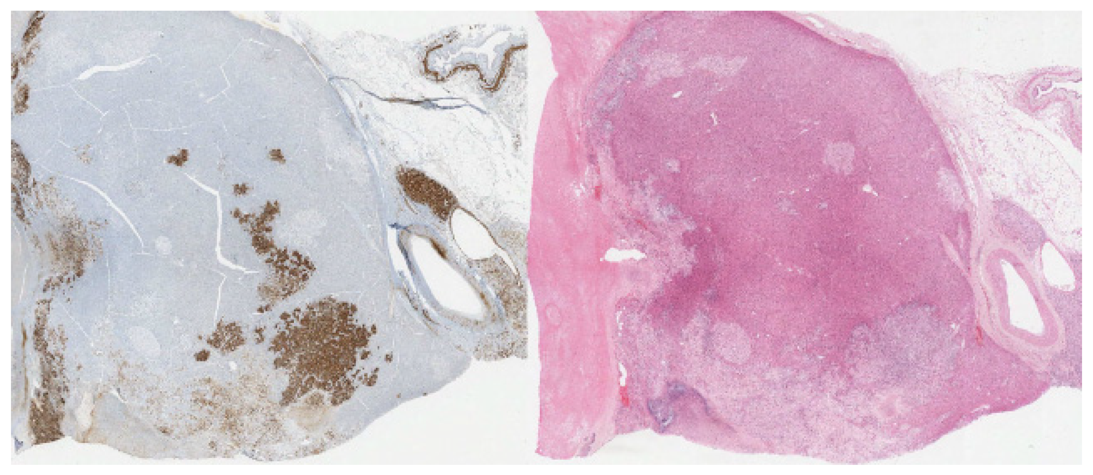 Diagnostics 12 02419 g009 Diagnostics 12 02419 g009