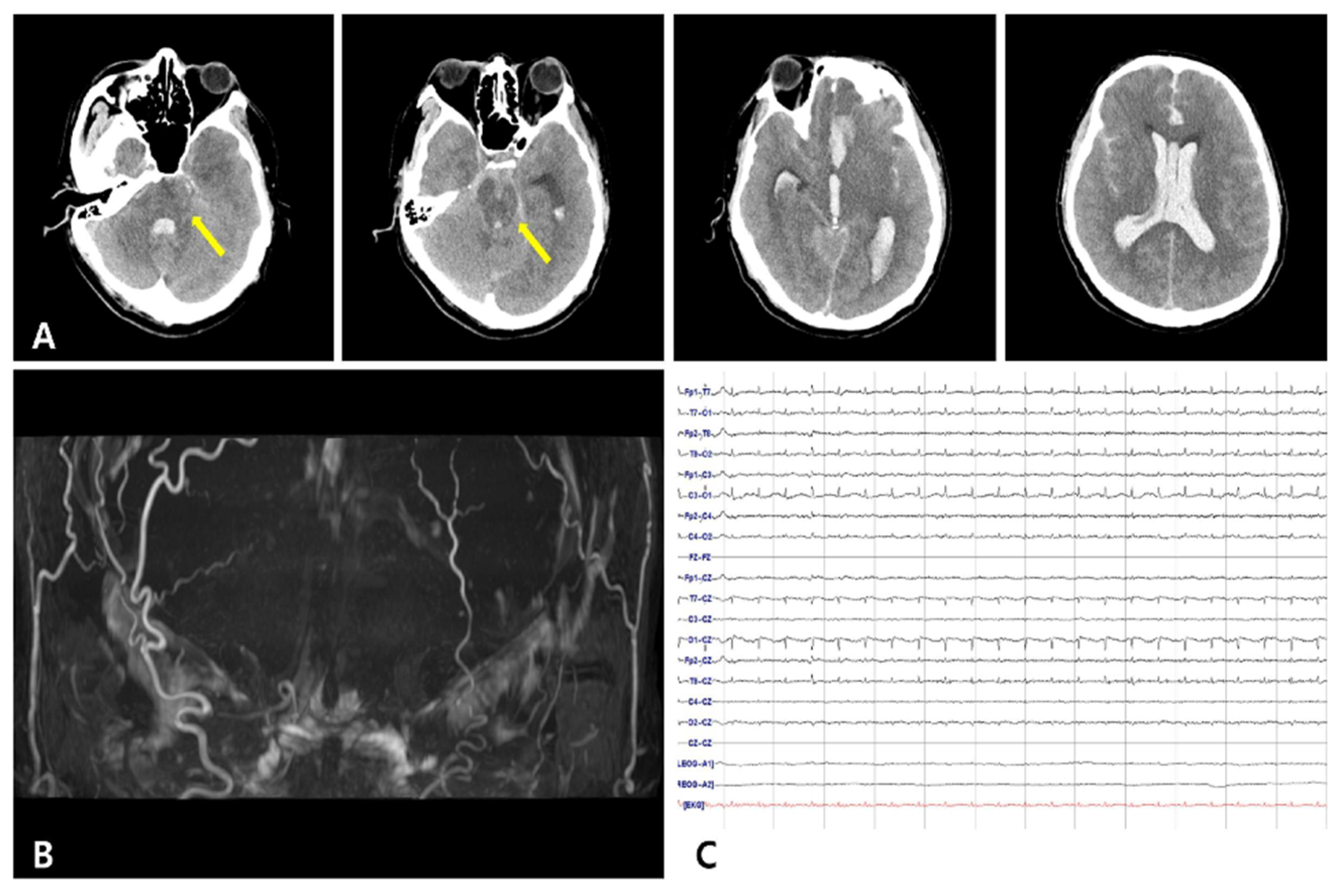 Diagnostics 12 02422 g001