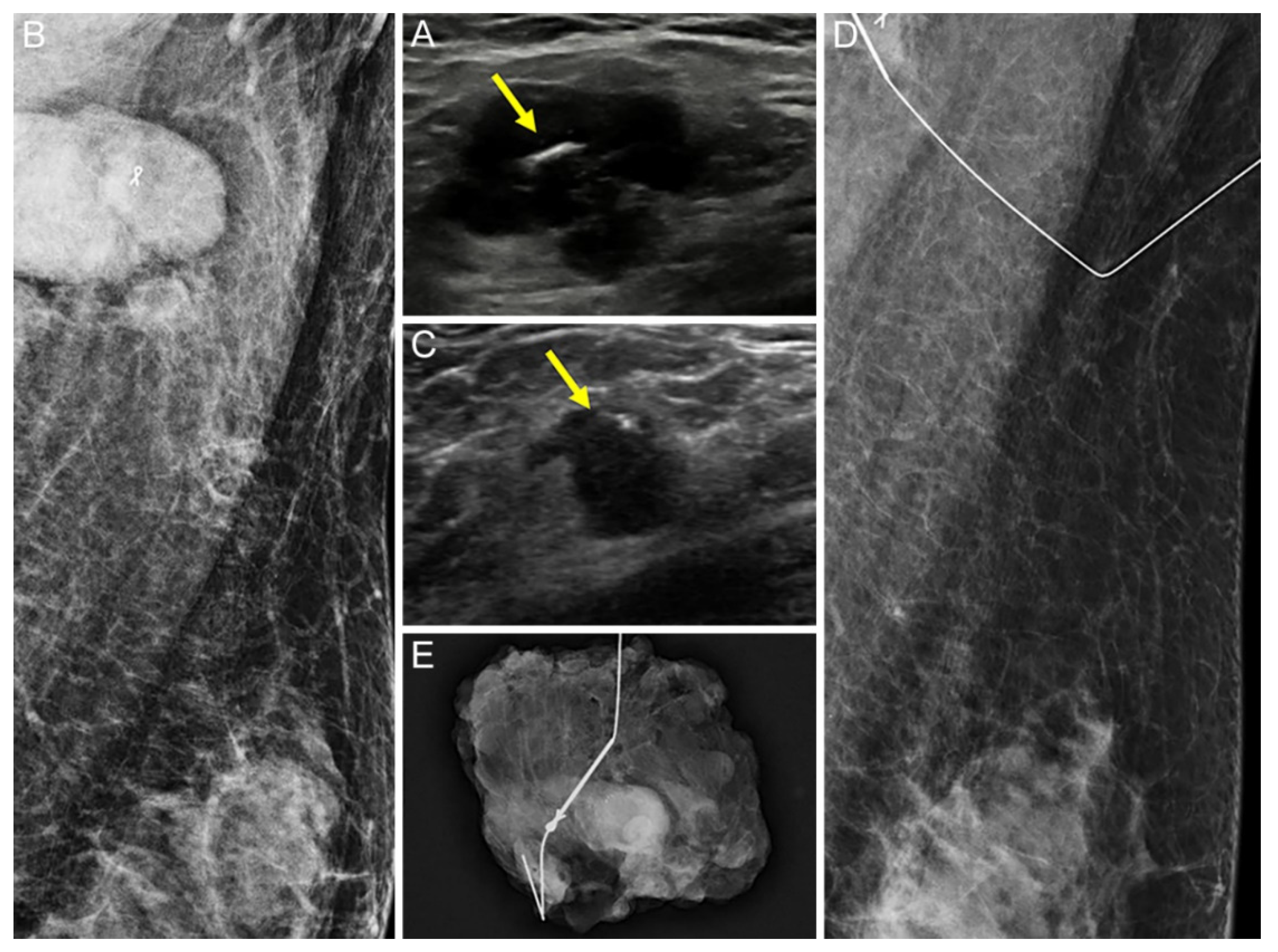 Diagnostics 12 02424 g002