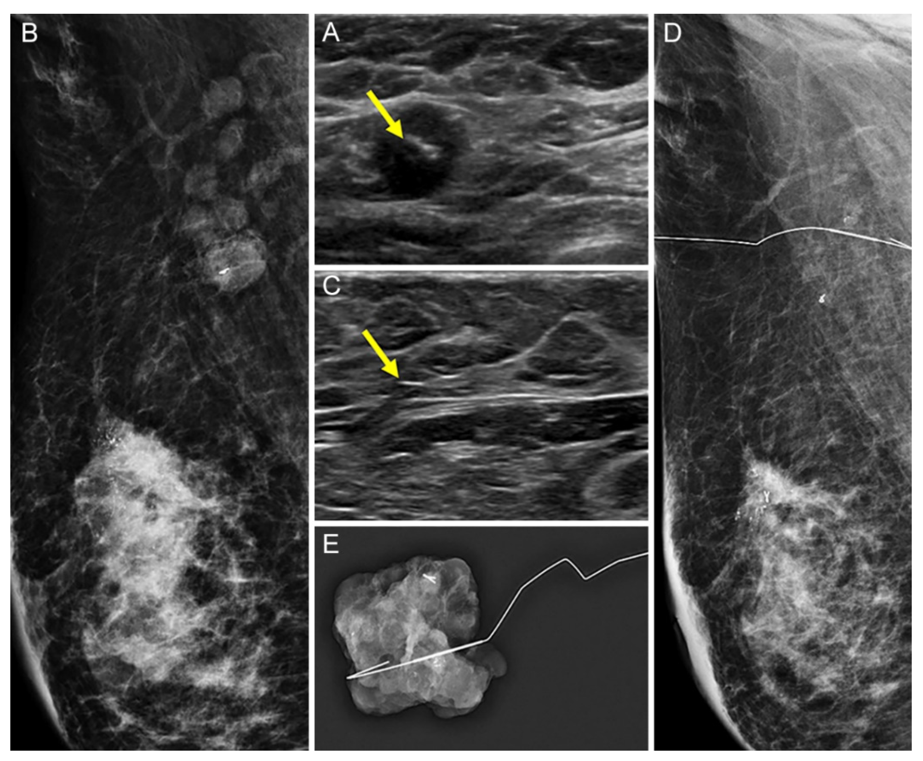 Diagnostics 12 02424 g004