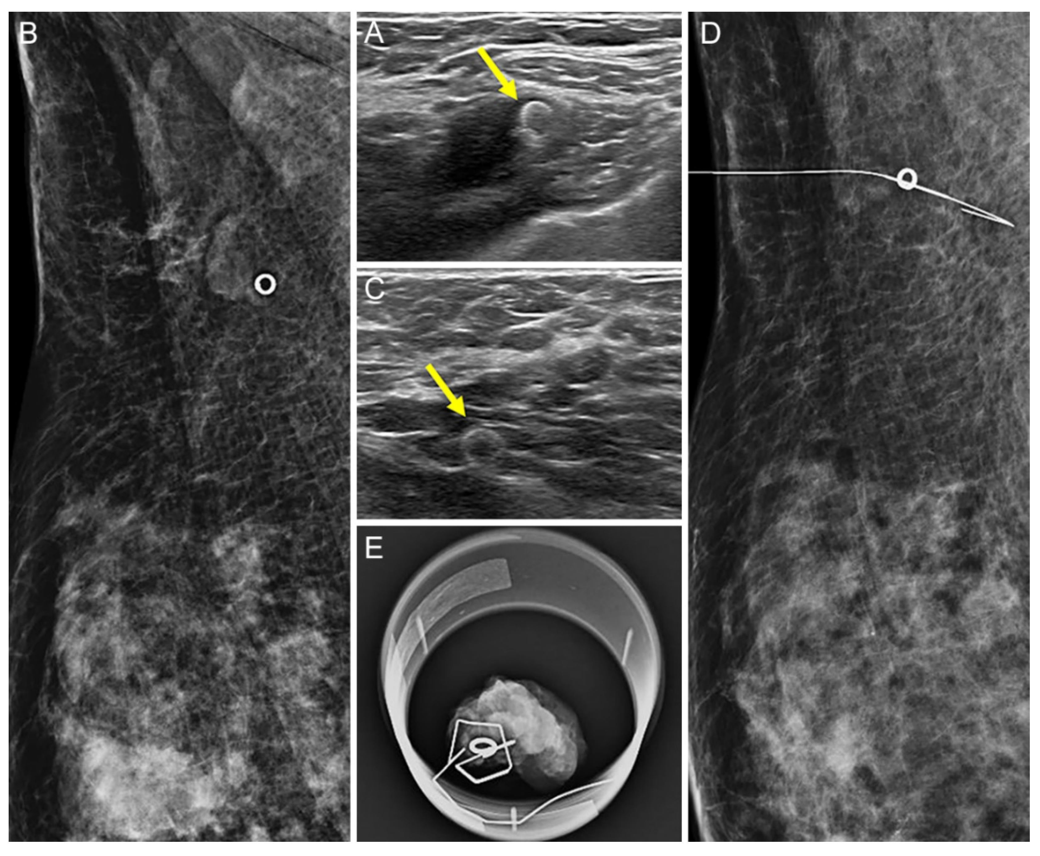 Diagnostics 12 02424 g005