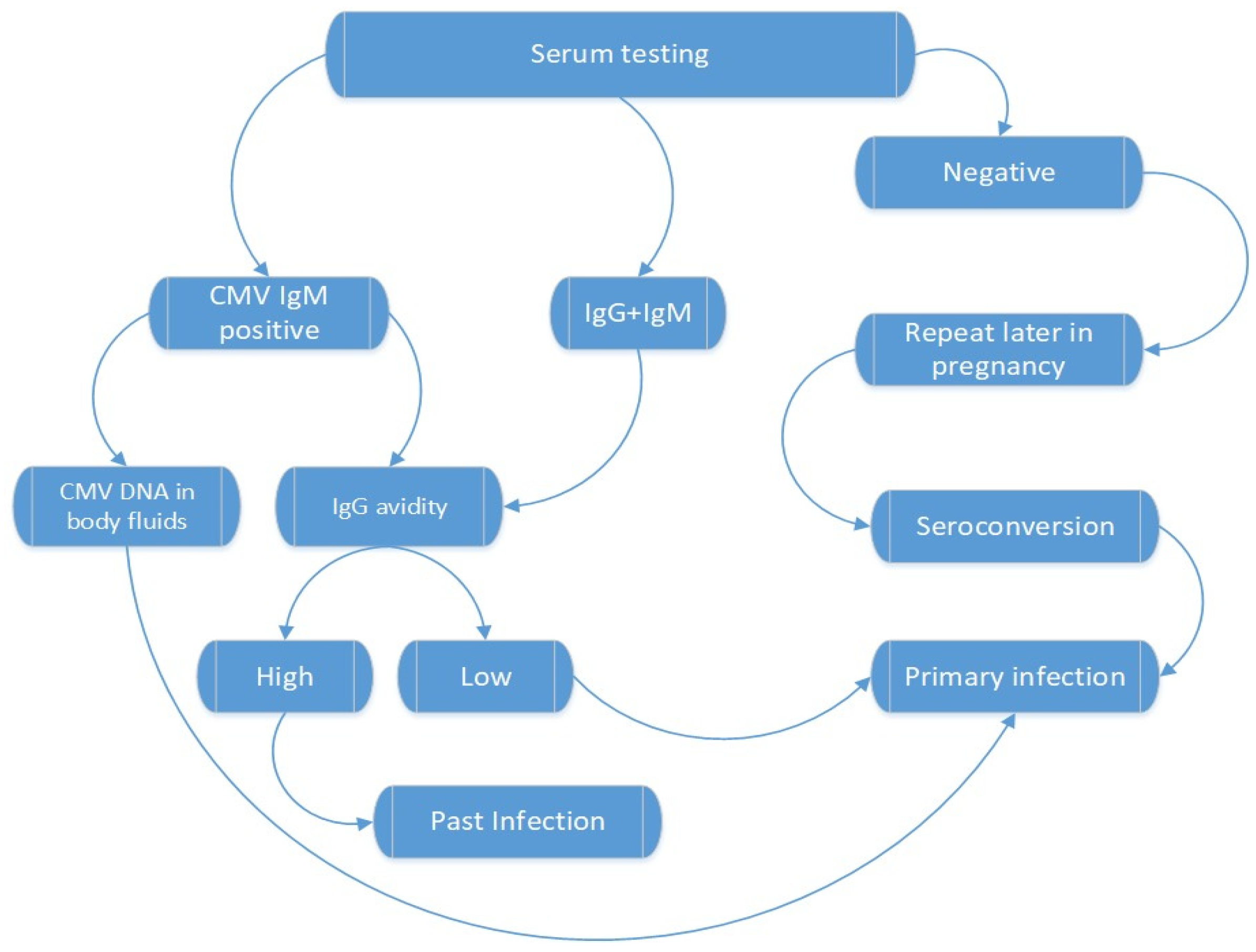 Diagnostics Free FullText An Overview of Cytomegalovirus Infection