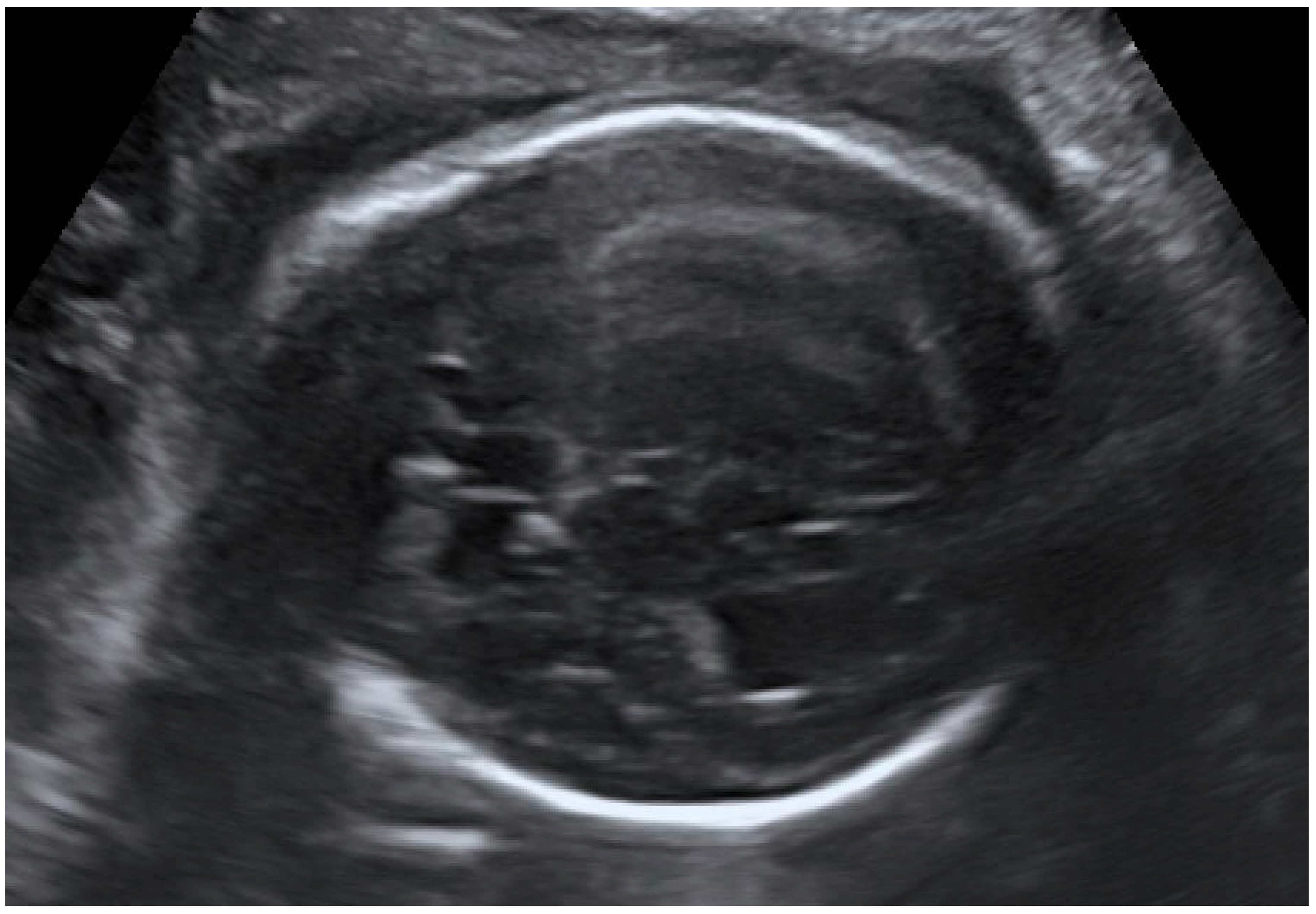 Diagnostics 12 02429 g003