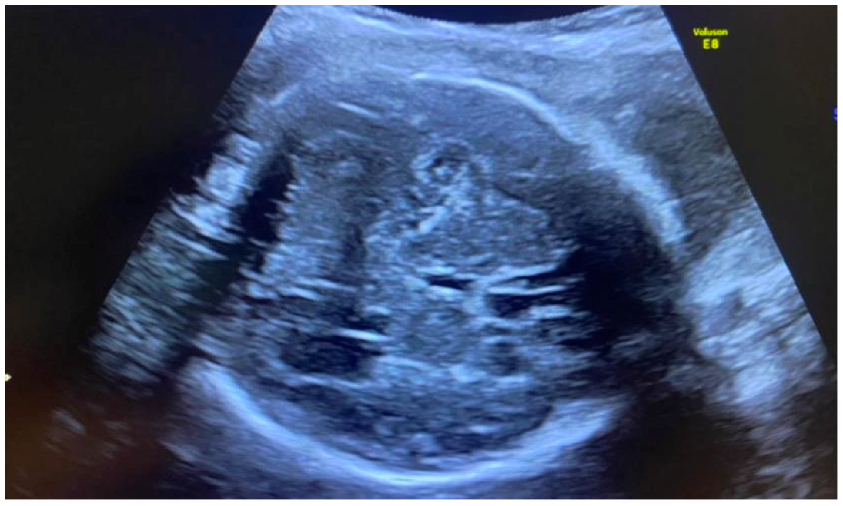 Diagnostics 12 02429 g004