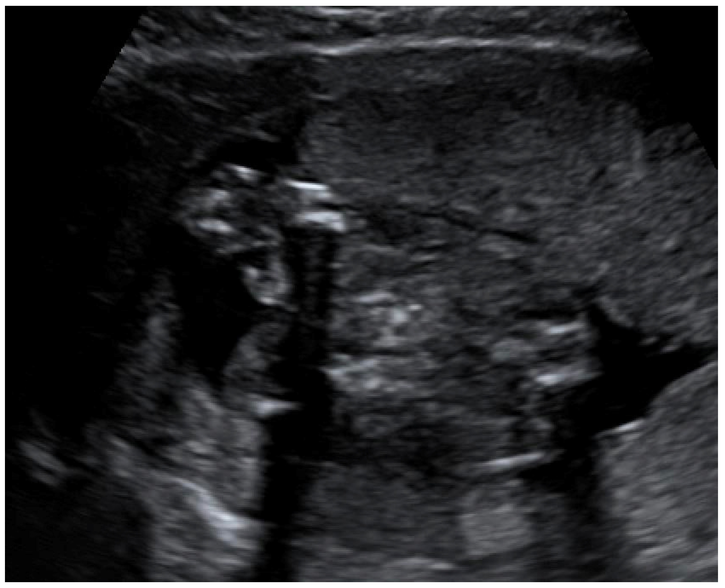 Diagnostics 12 02429 g005