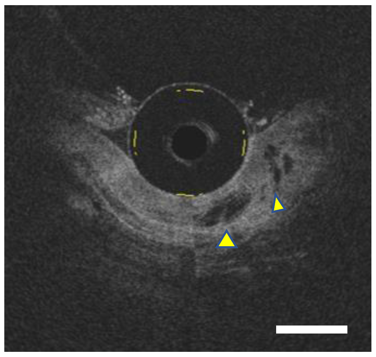 Diagnostics 12 02437 g001 Diagnostics 12 02437 g001