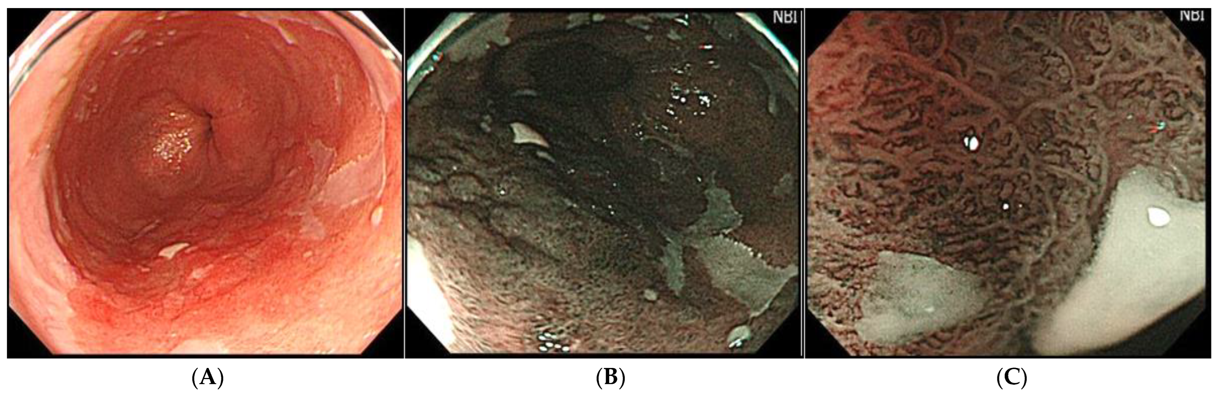 Diagnostics 12 02437 g002 Diagnostics 12 02437 g002