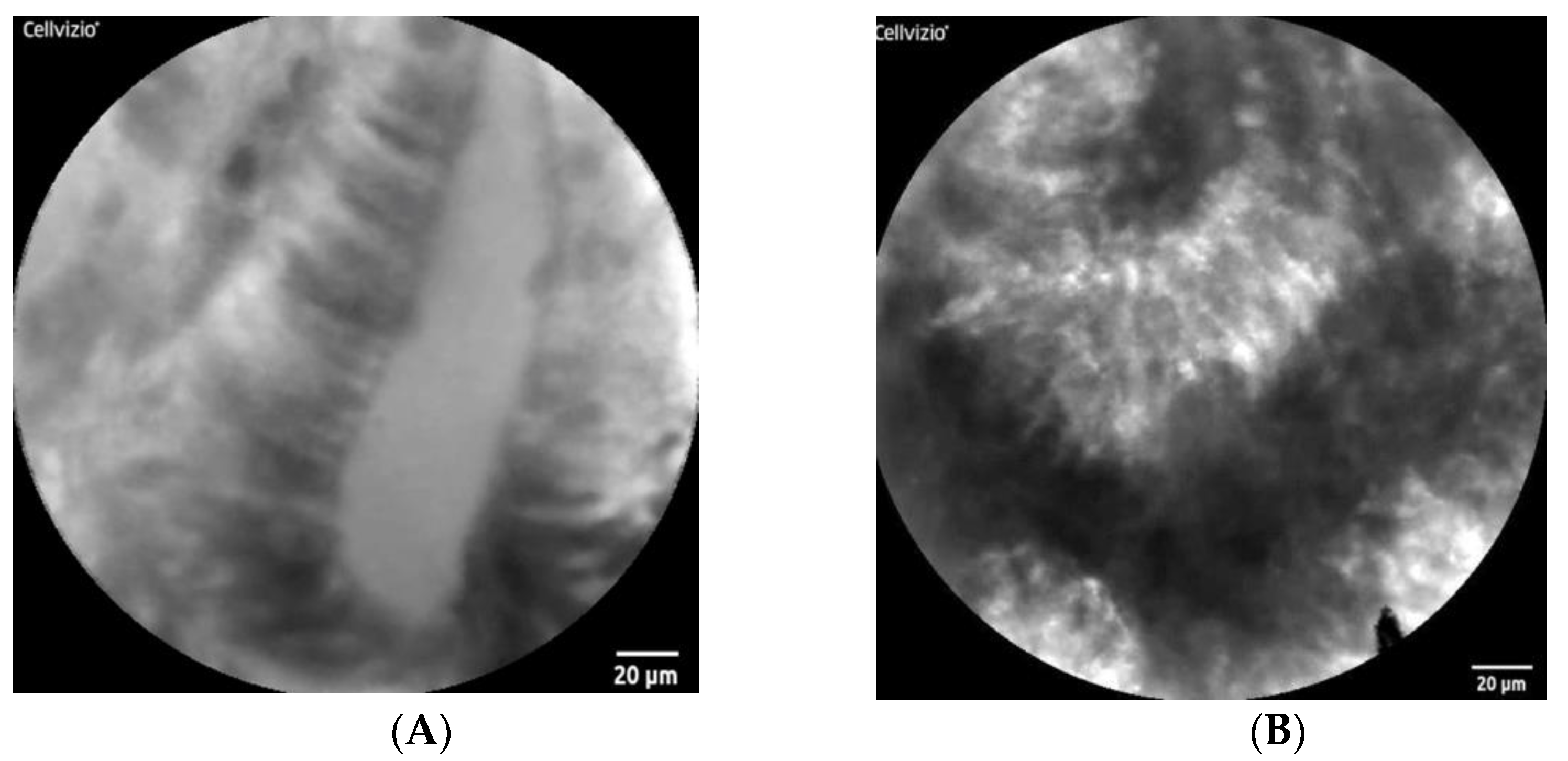 Diagnostics 12 02437 g003 Diagnostics 12 02437 g003