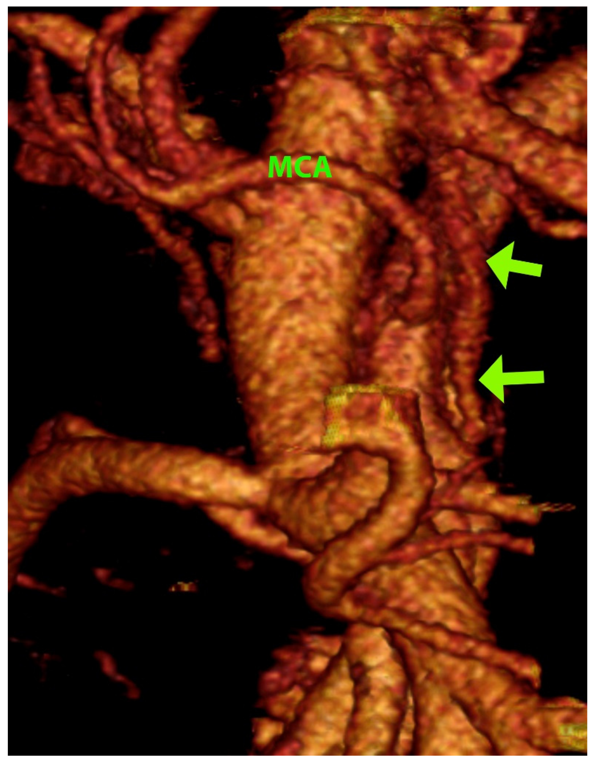 Diagnostics 12 02441 g002