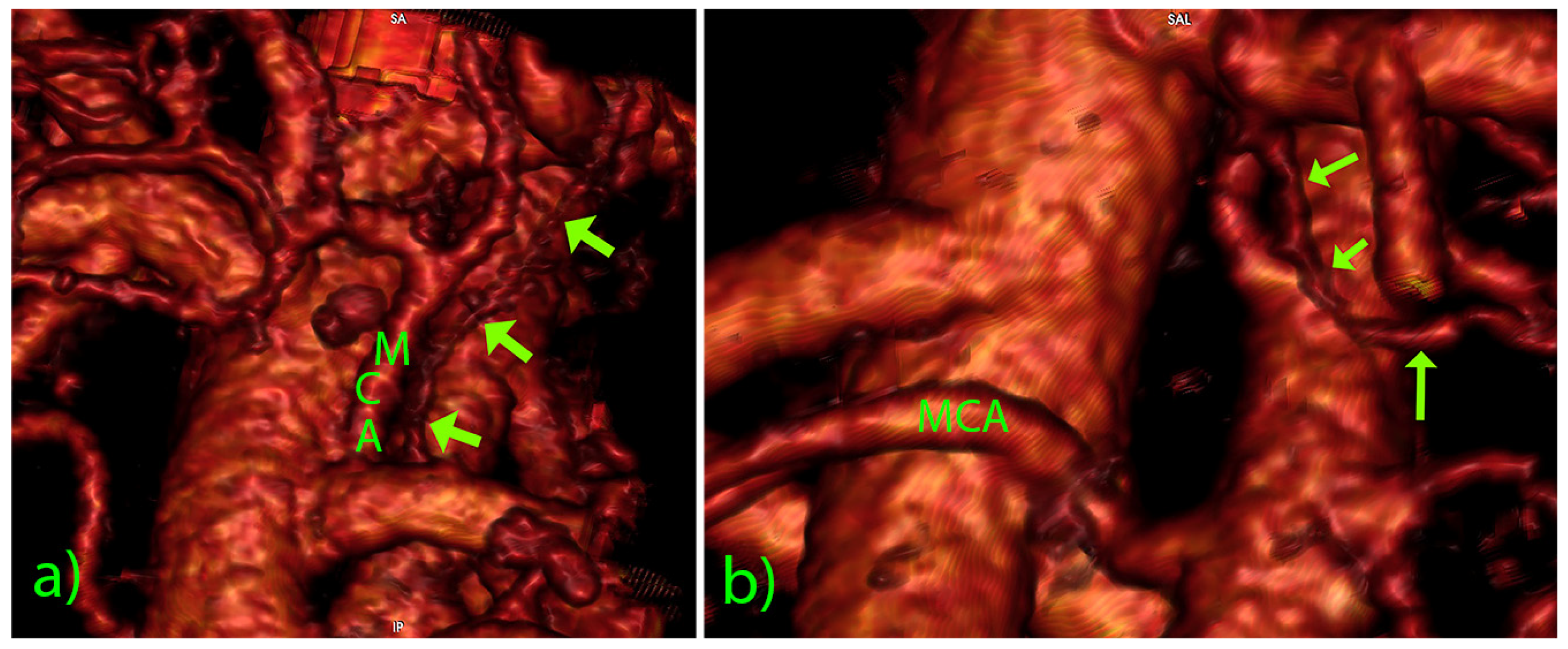 Diagnostics 12 02441 g003