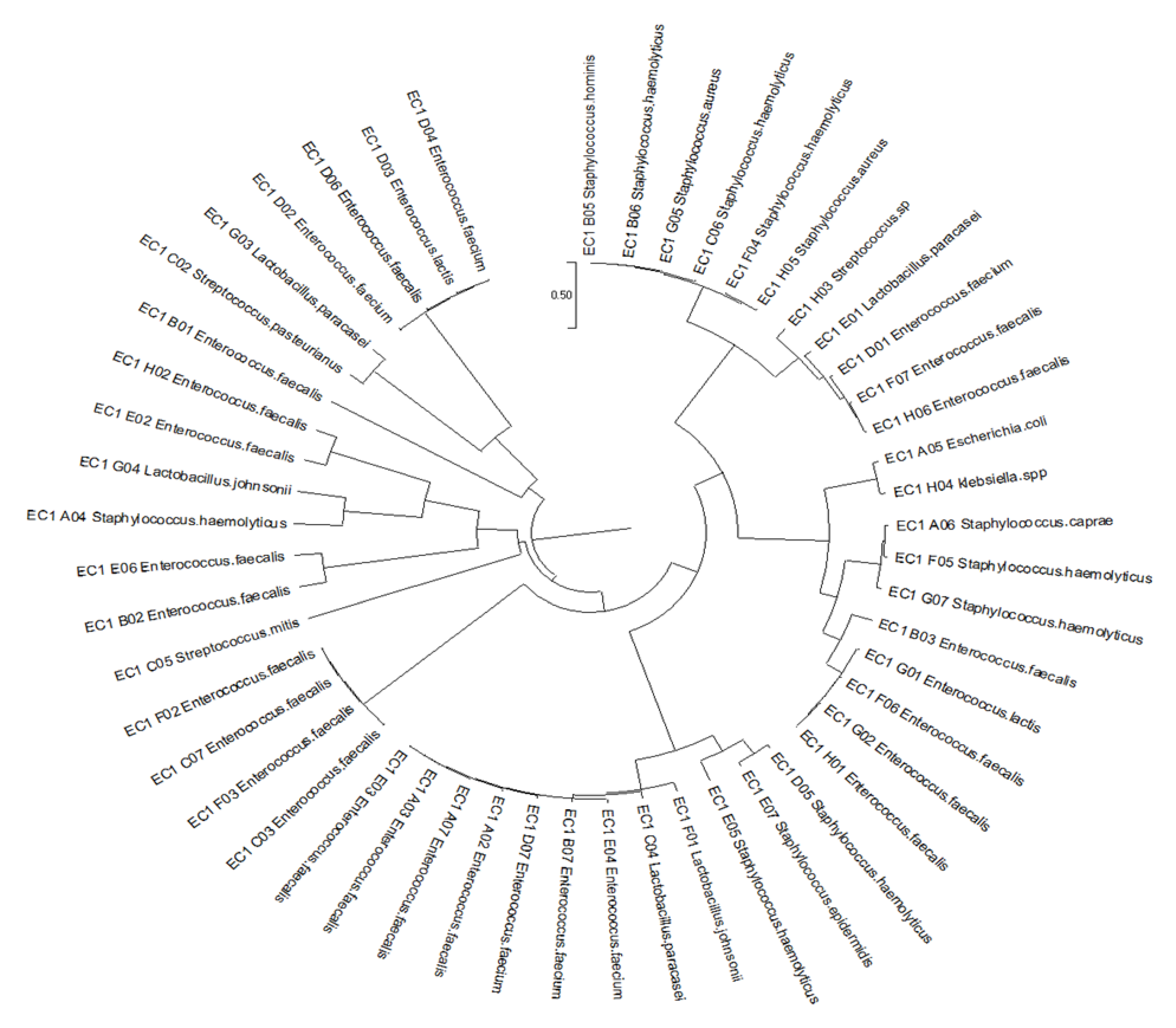 Diagnostics 12 02444 g003