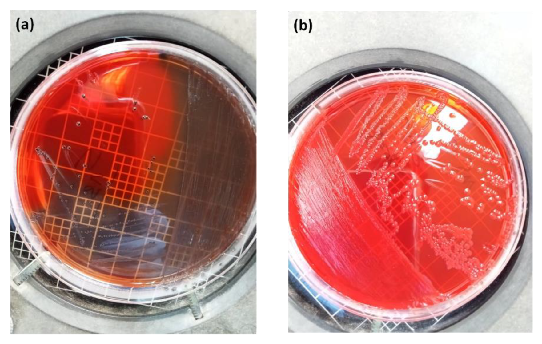 Diagnostics 12 02444 g009