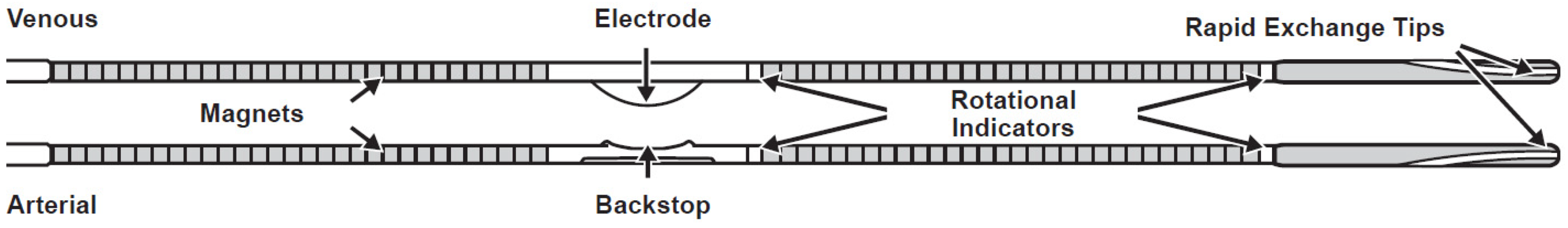 Diagnostics 12 02447 g002