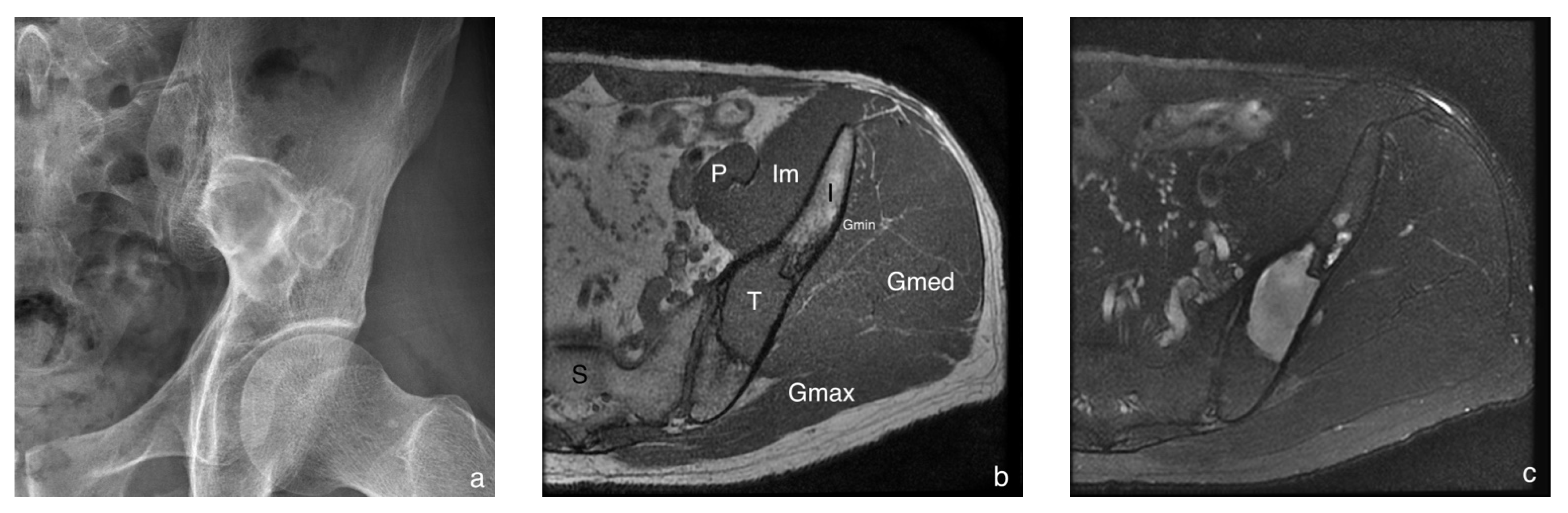 Diagnostics 12 02450 g001a Diagnostics 12 02450 g001a