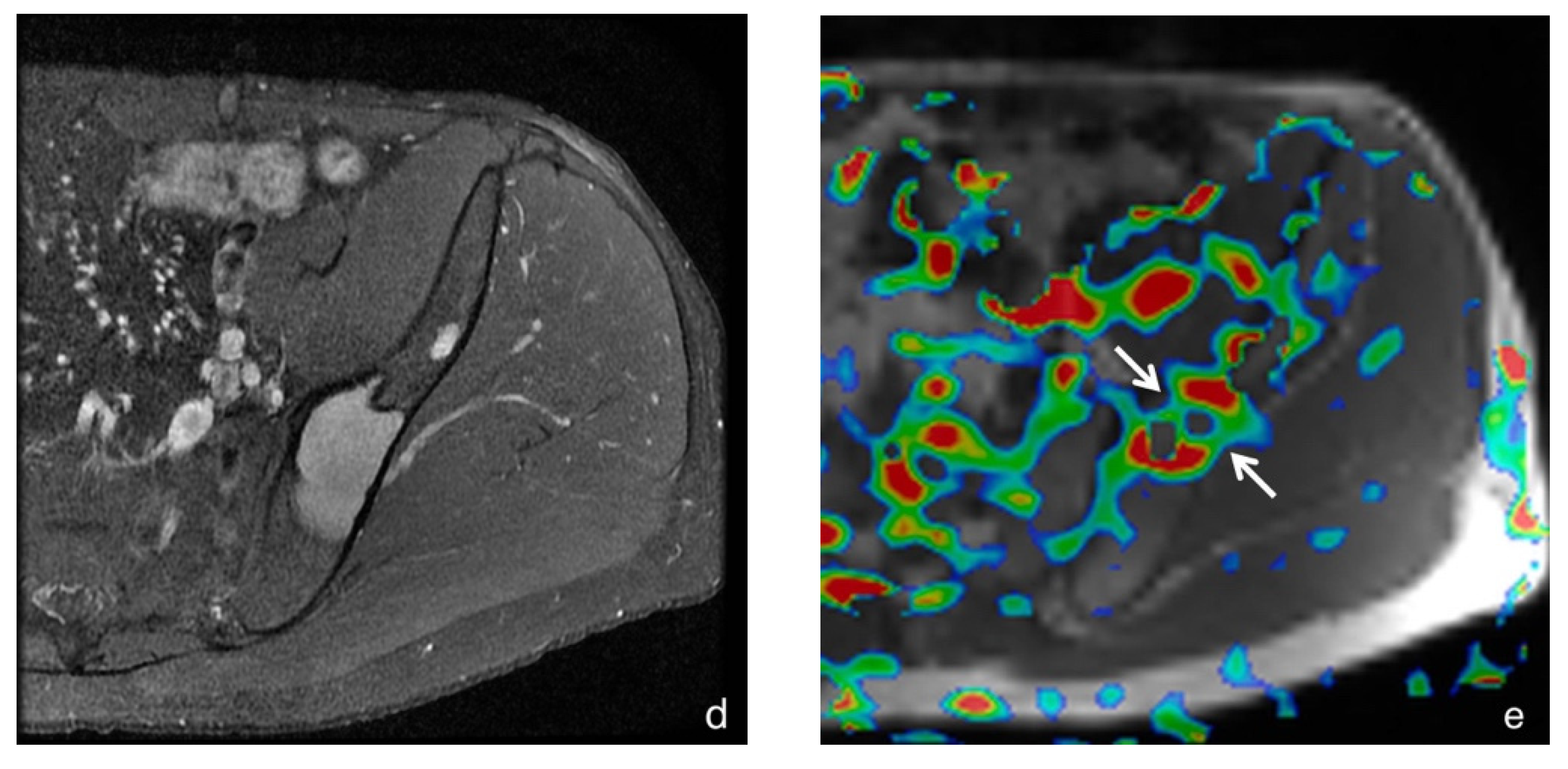 Diagnostics 12 02450 g001b Diagnostics 12 02450 g001b