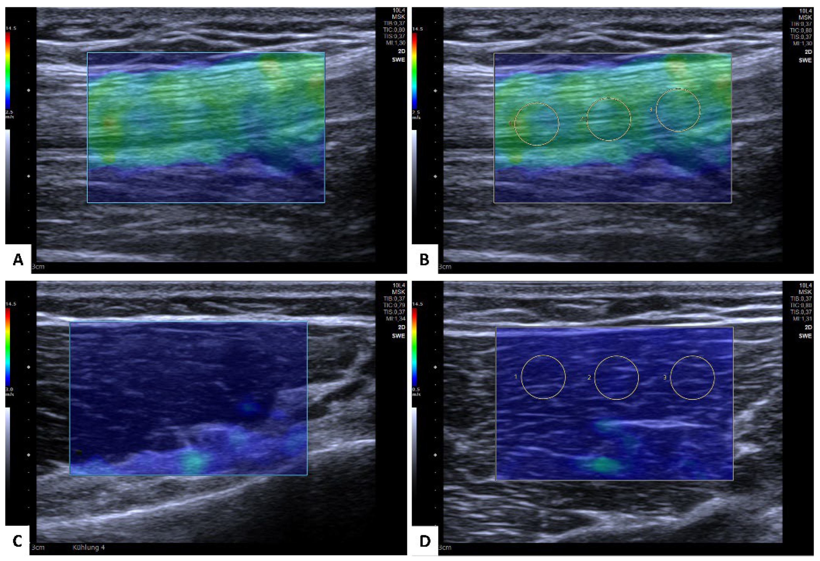 Diagnostics 12 02453 g002 Diagnostics 12 02453 g002